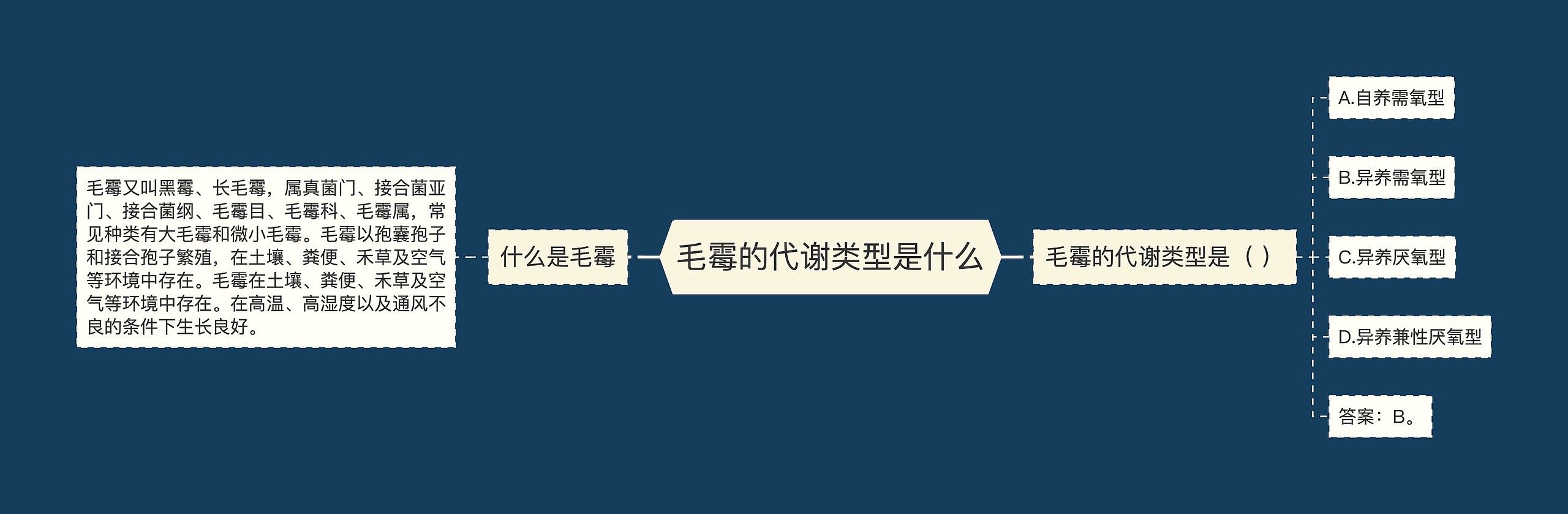 毛霉的代谢类型是什么思维导图