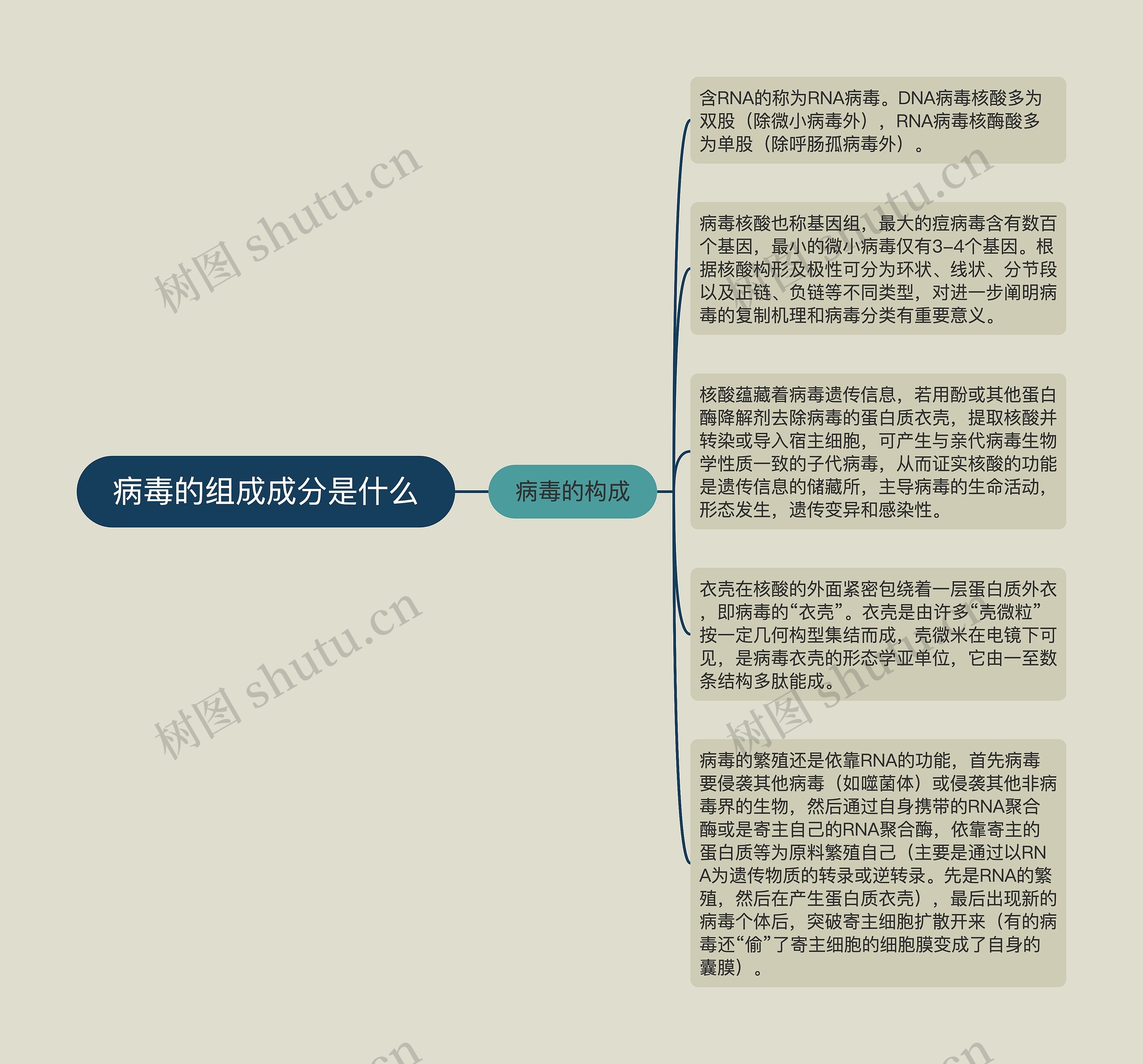 病毒的组成成分是什么
