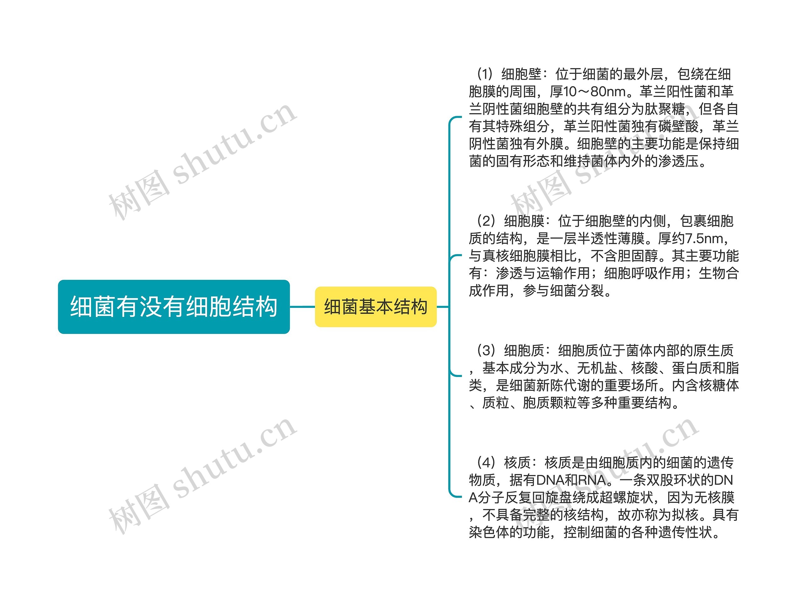 细菌有没有细胞结构