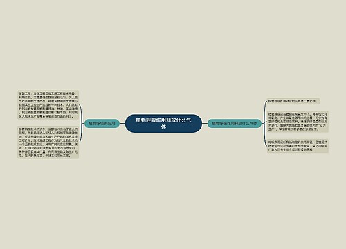 植物呼吸作用释放什么气体