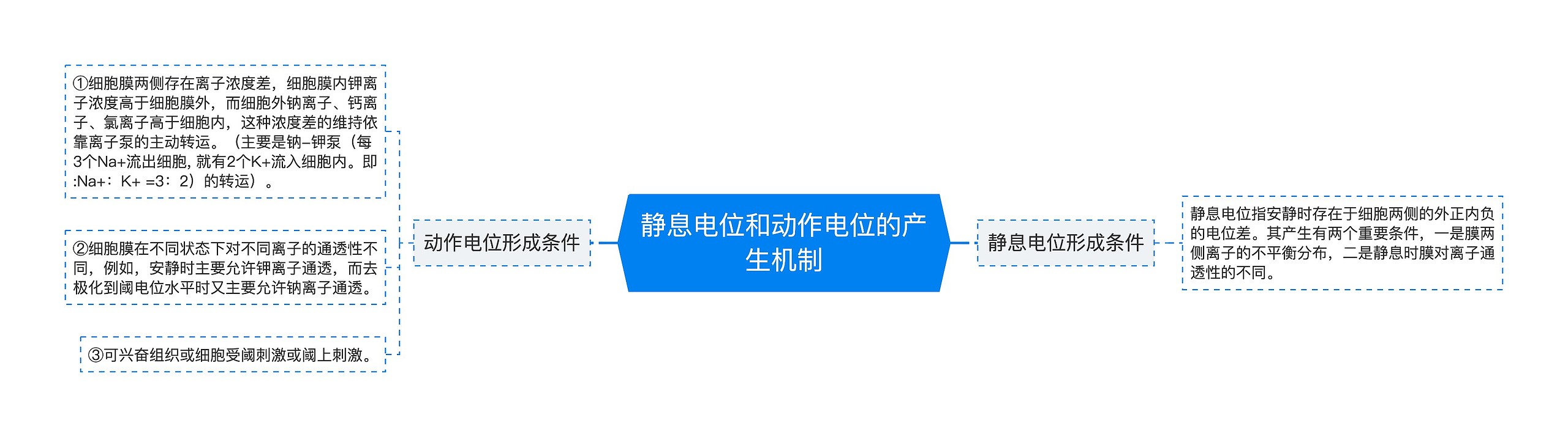 静息电位和动作电位的产生机制