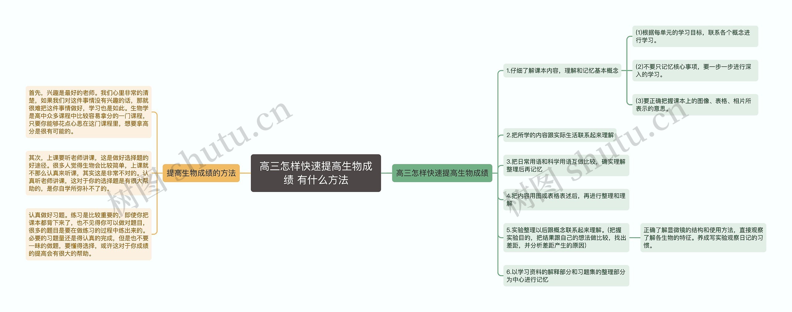 高三怎样快速提高生物成绩 有什么方法