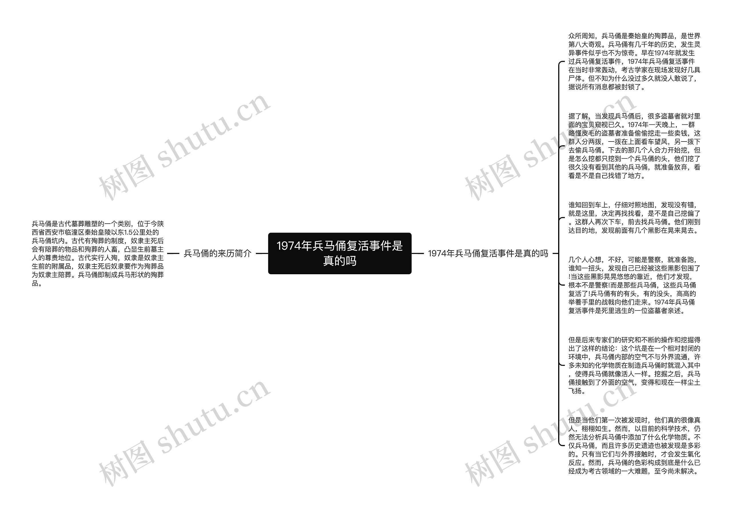 1974年兵马俑复活事件是真的吗