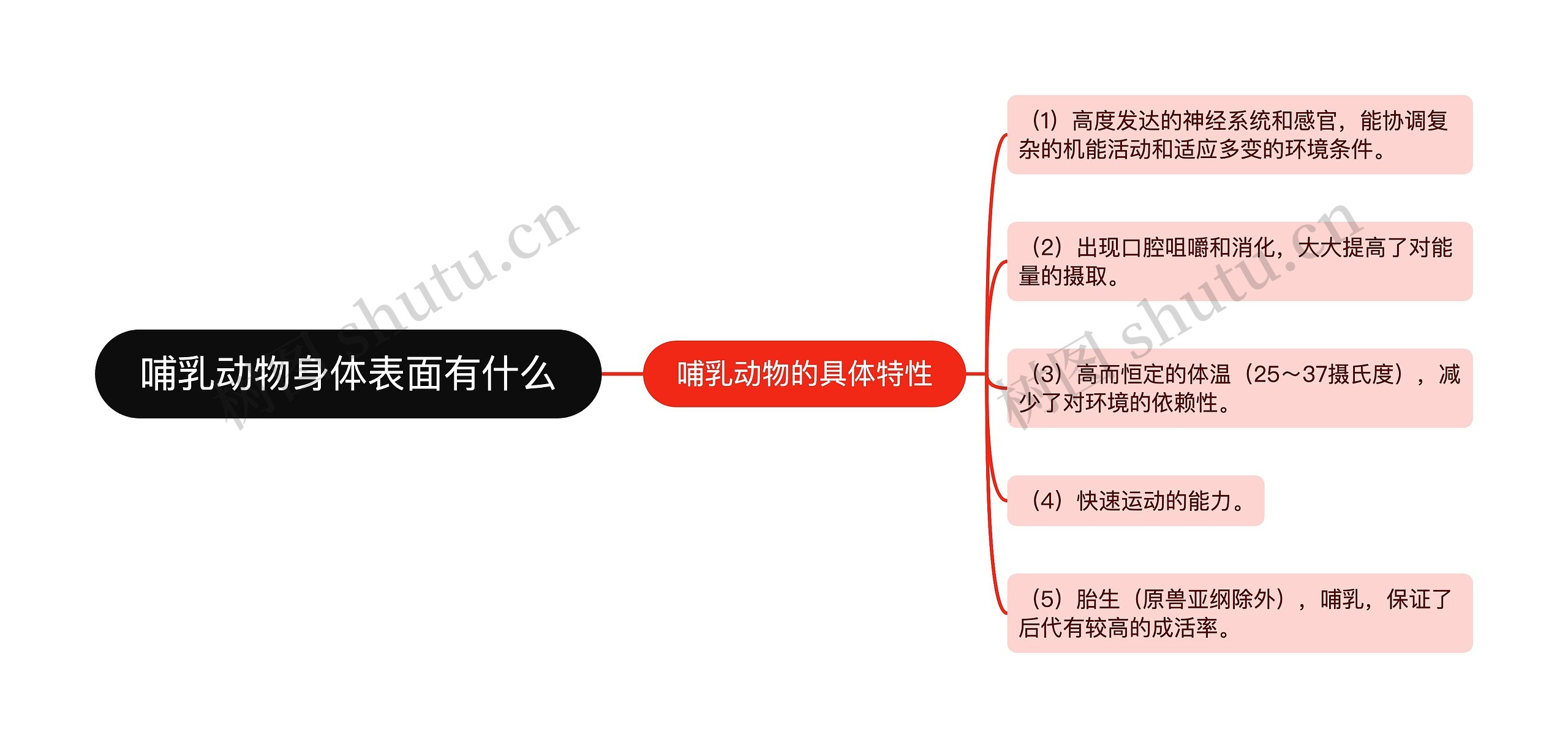 哺乳动物身体表面有什么