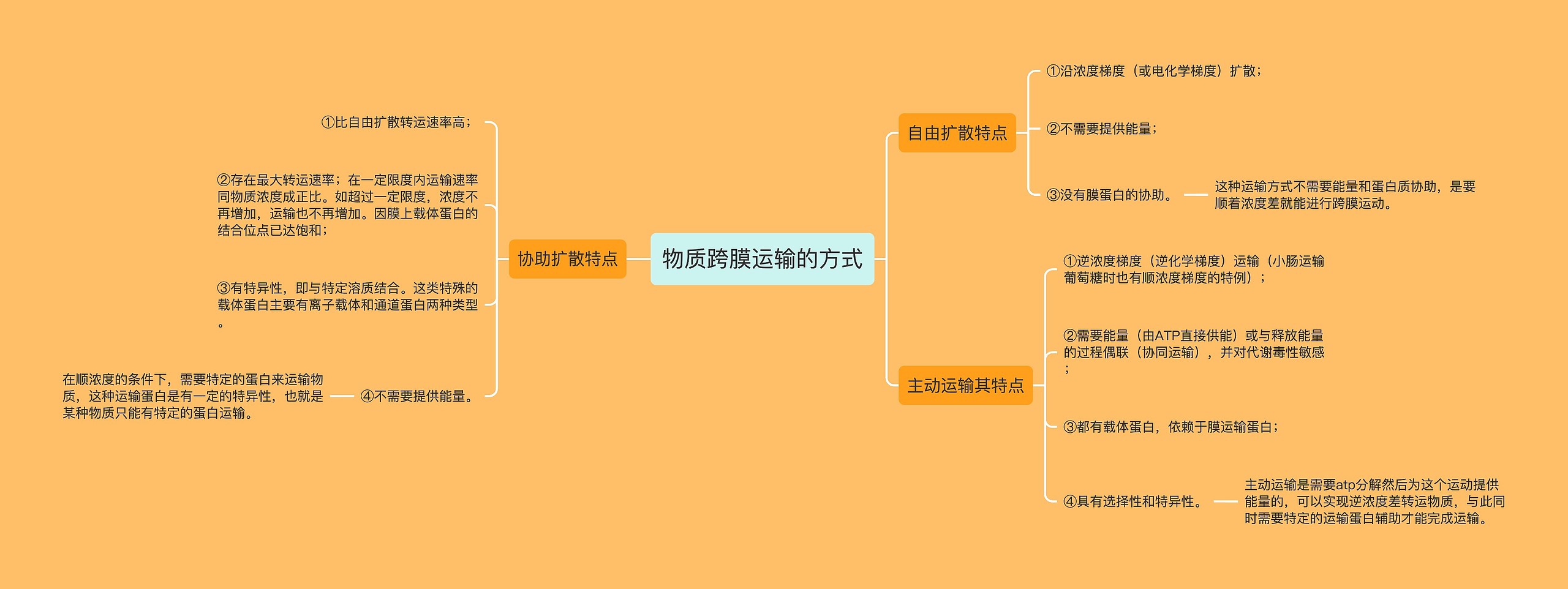 物质跨膜运输的方式思维导图