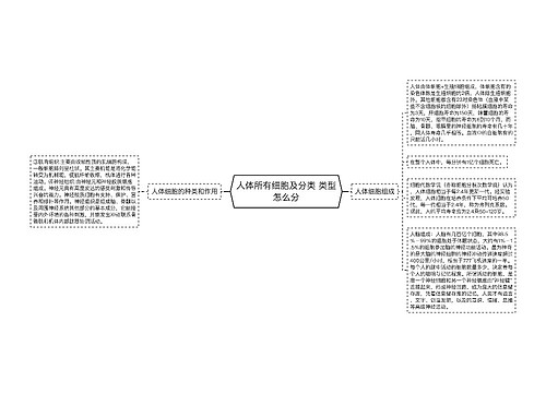 人体所有细胞及分类 类型怎么分