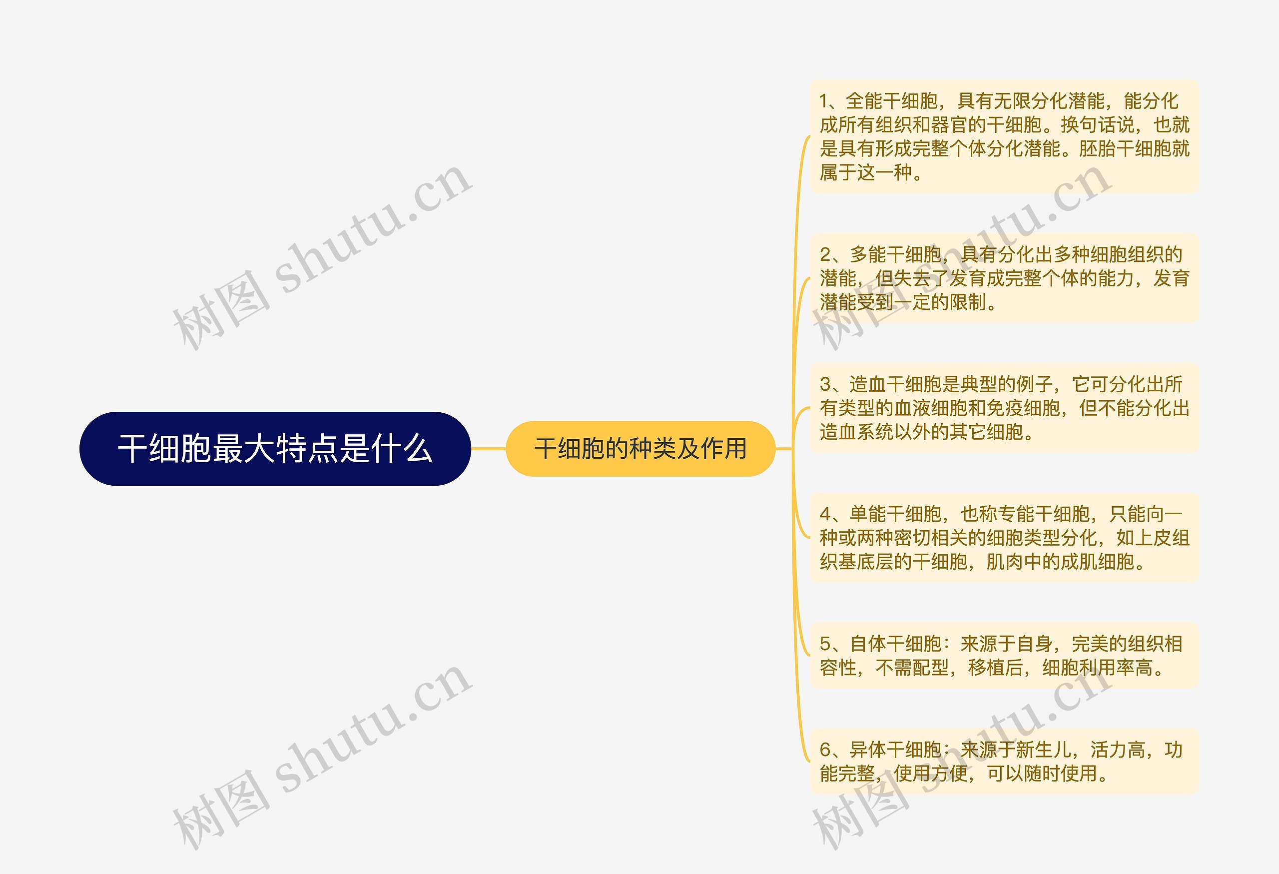 干细胞最大特点是什么 干细胞最大特点是什么