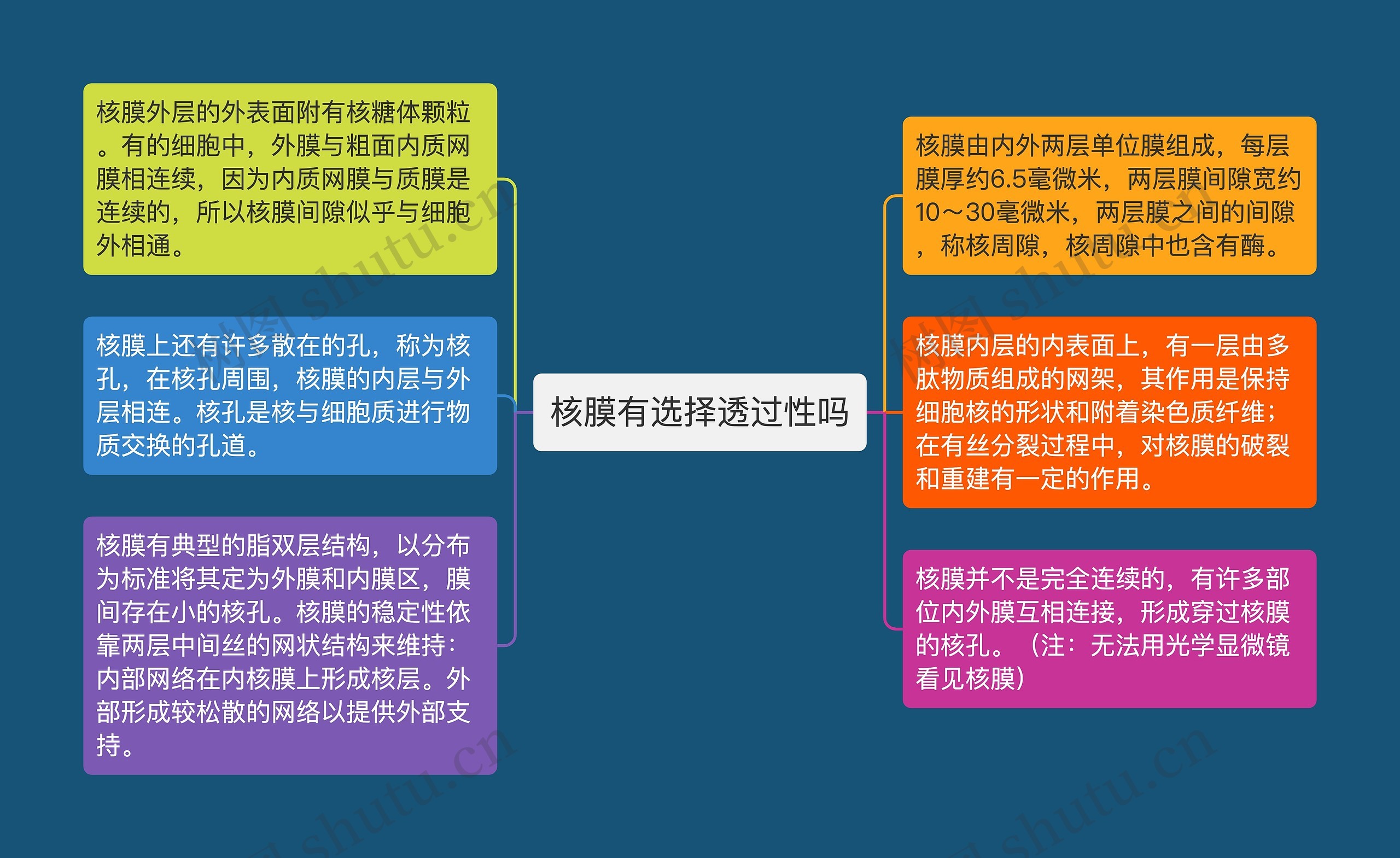 核膜有选择透过性吗思维导图