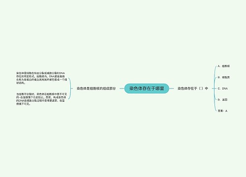 染色体存在于哪里