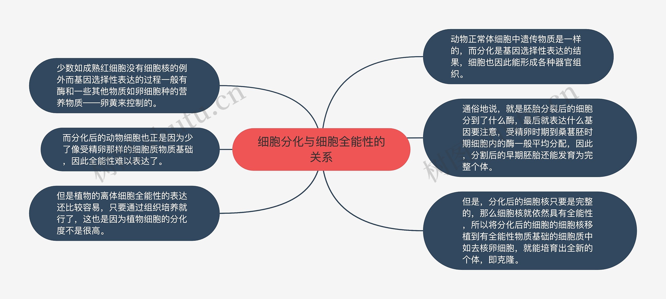 细胞分化与细胞全能性的关系