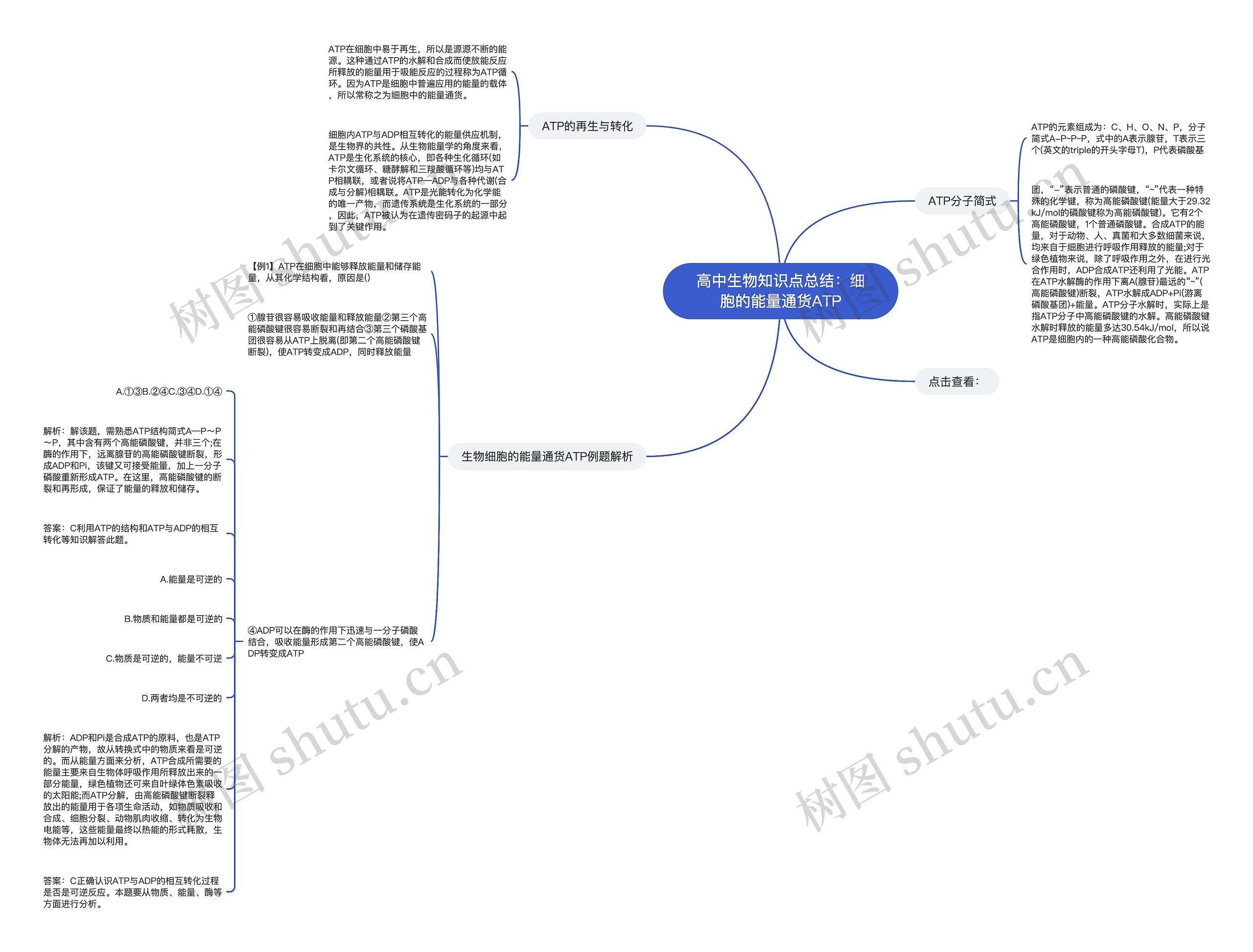 高中生物知识点总结:细胞的能量通货ATP 高中生物知识点总结:细胞的能量通货ATP