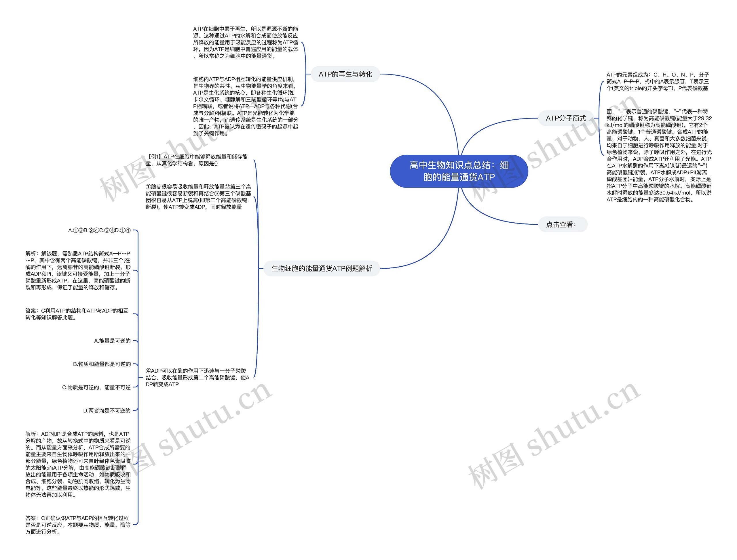 高中生物知识点总结：细胞的能量通货ATP