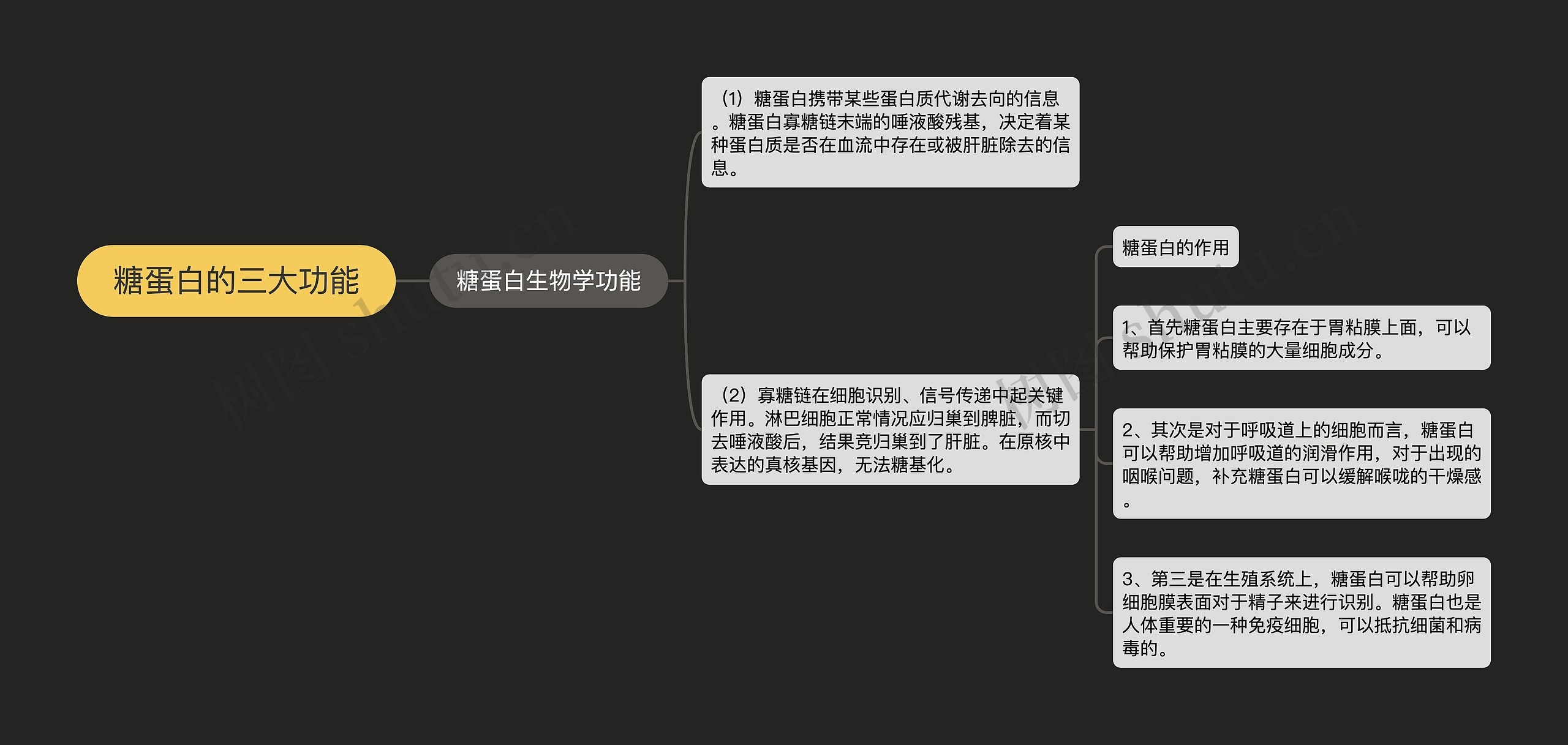 糖蛋白的三大功能 糖蛋白的三大功能