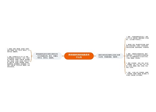 原核细胞和真核细胞具有什么性