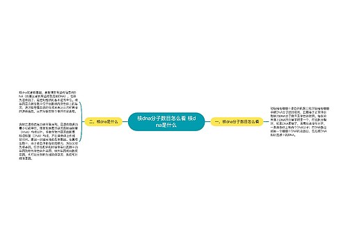 核dna分子数目怎么看 核dna是什么