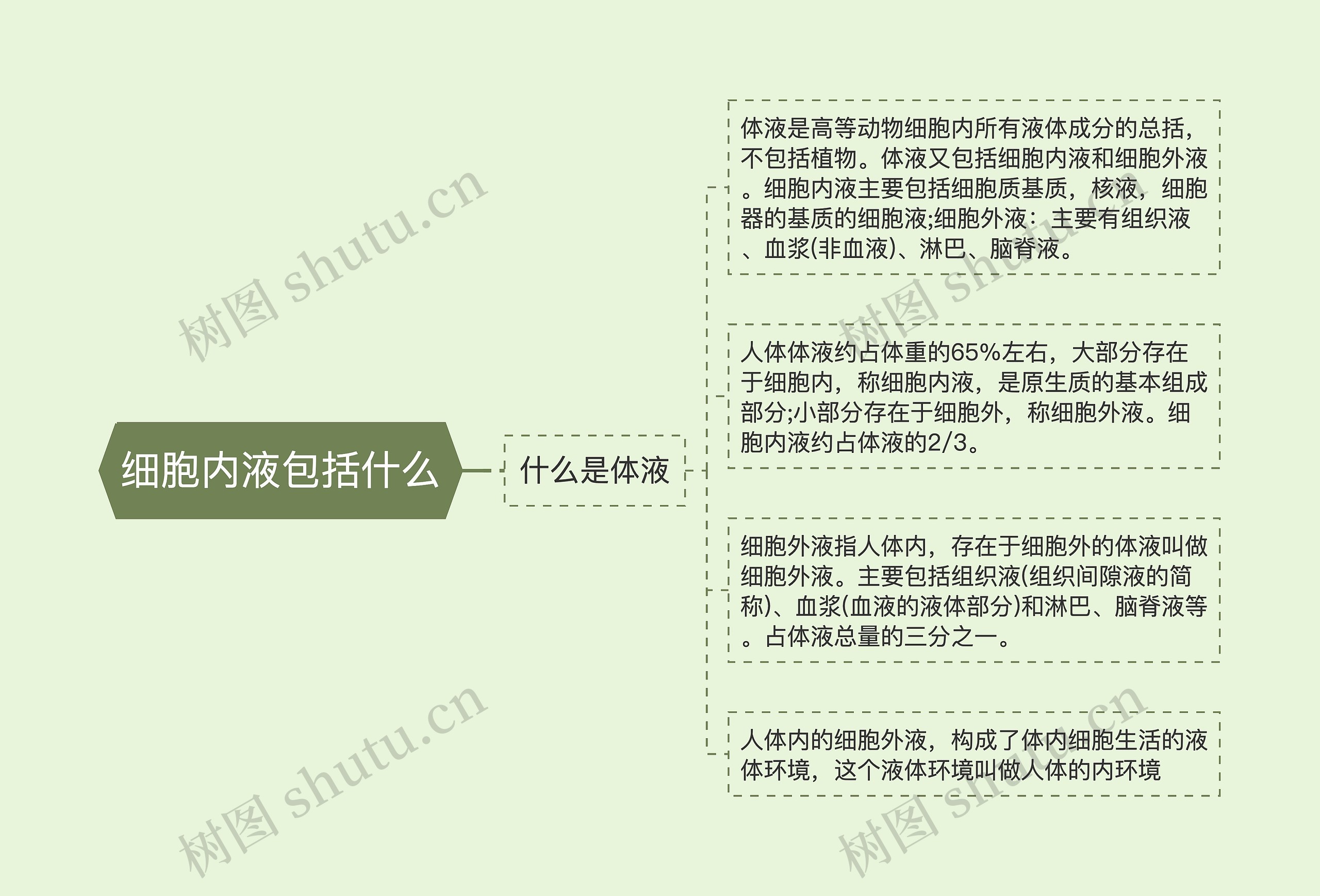 细胞内液包括什么 细胞内液包括什么