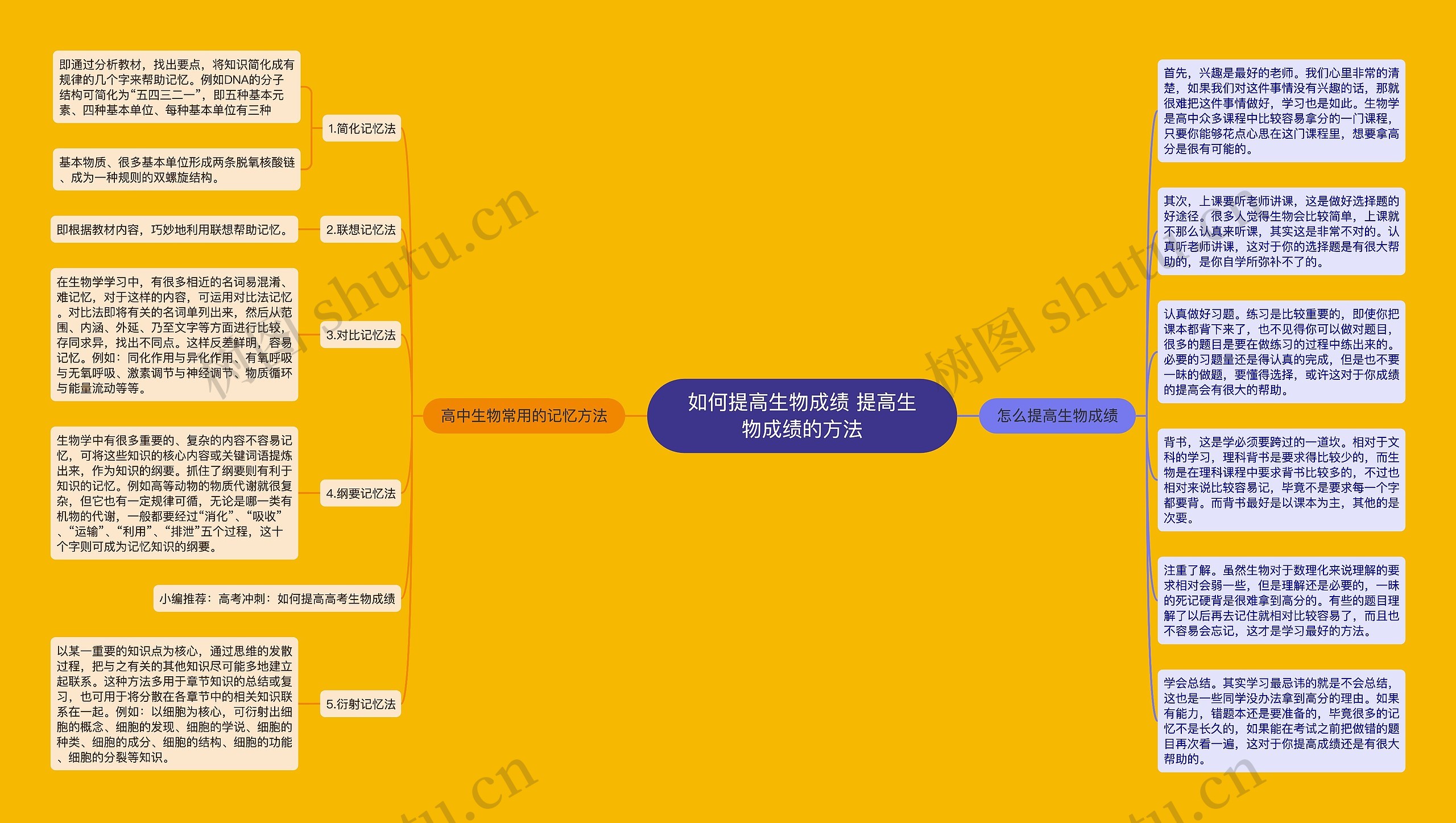 如何提高生物成绩 提高生物成绩的方法思维导图