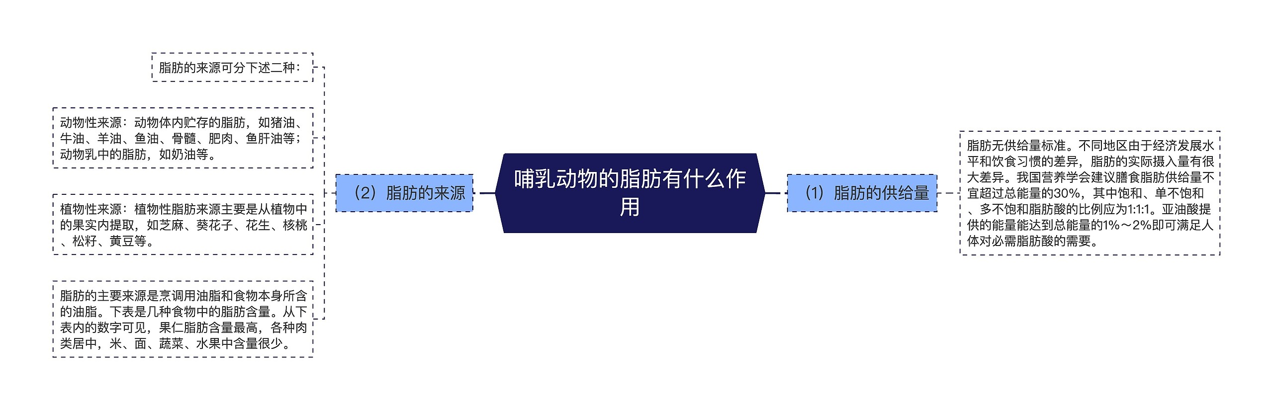 哺乳动物的脂肪有什么作用思维导图