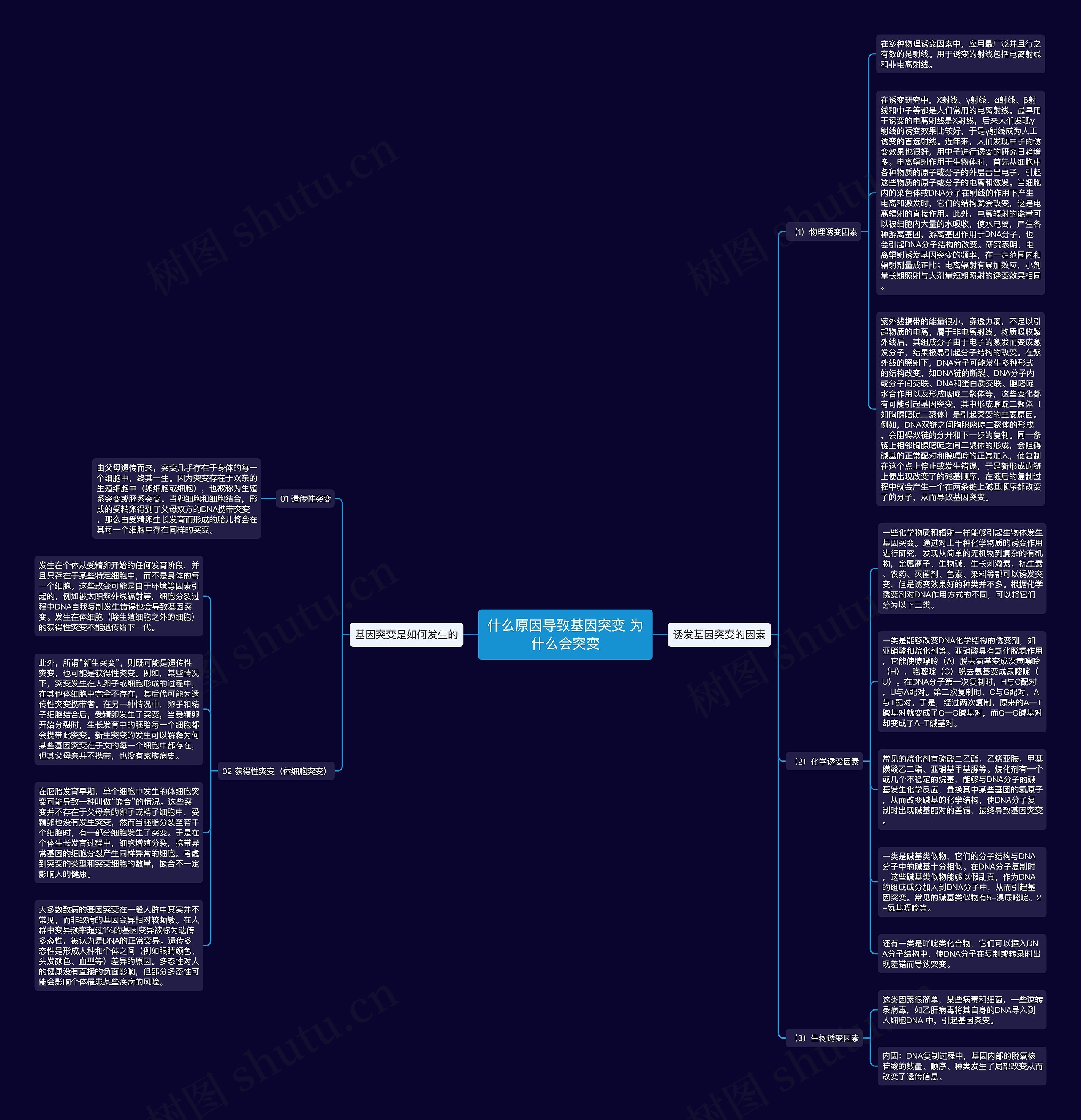 什么原因导致基因突变 为什么会突变思维导图高清图 什么原因导致基因突变 为什么会突变思维导图