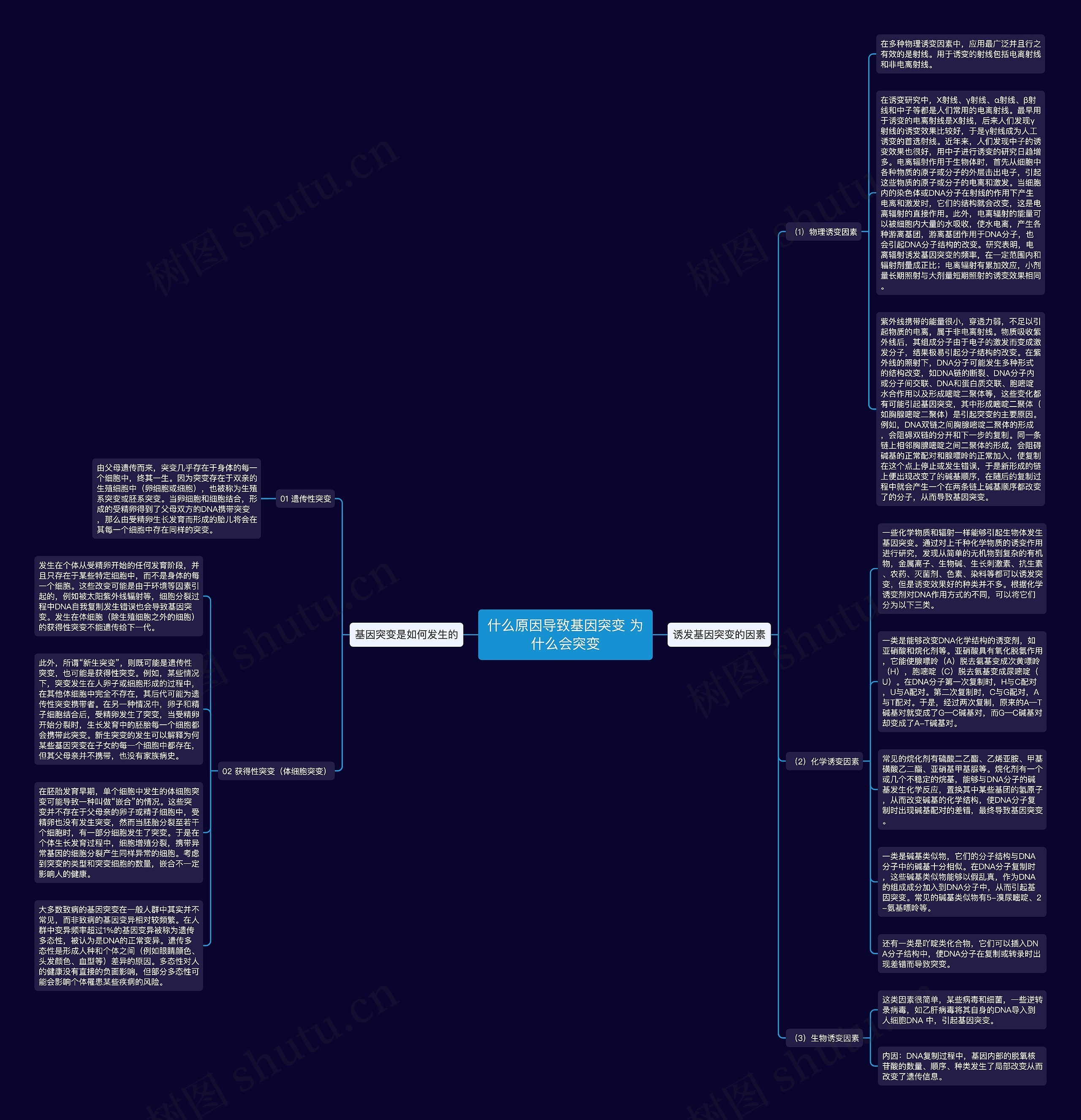 什么原因导致基因突变 为什么会突变思维导图