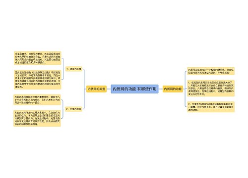 内质网的功能 有哪些作用