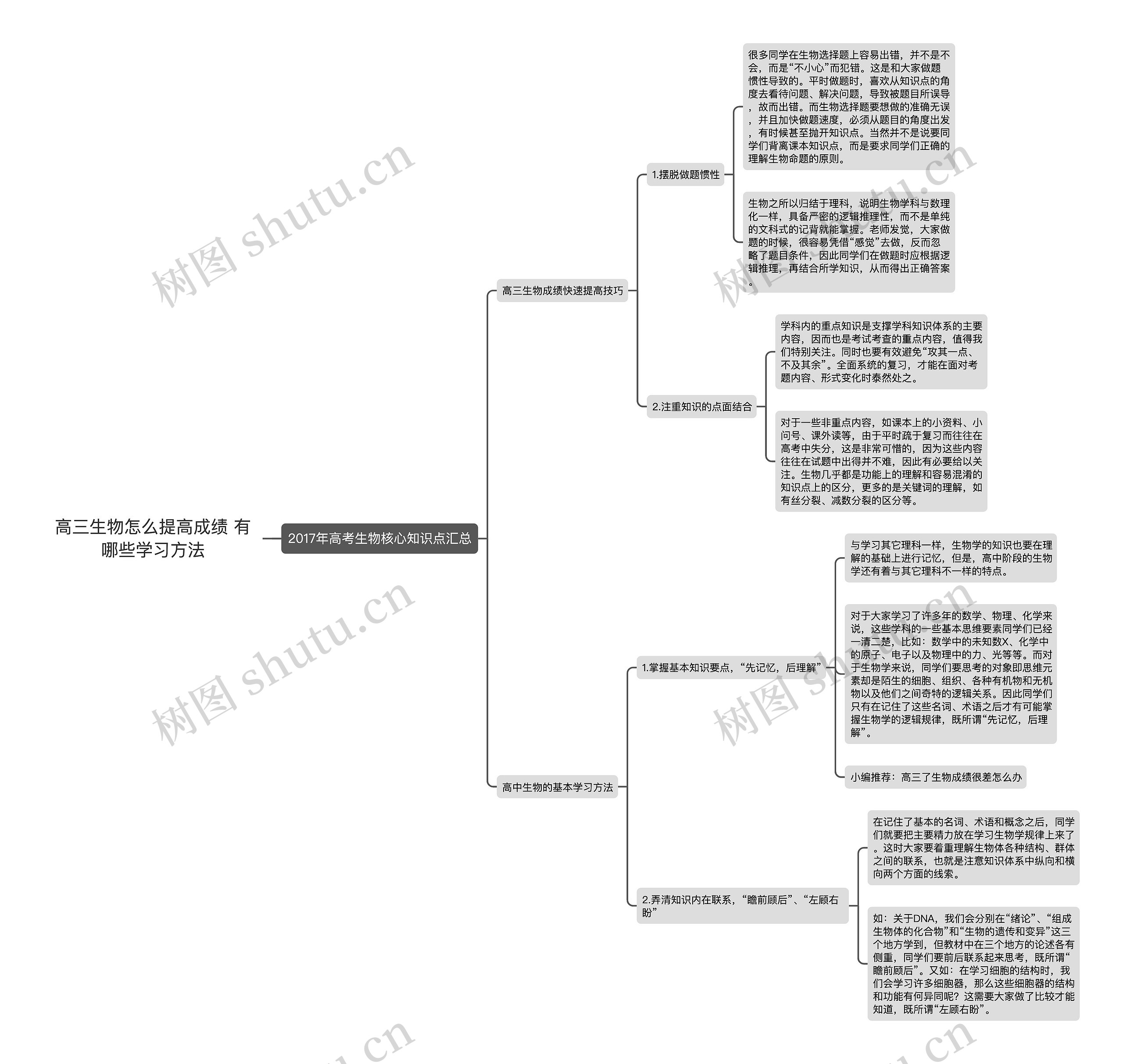 高三生物怎么提高成绩 有哪些学习方法思维导图