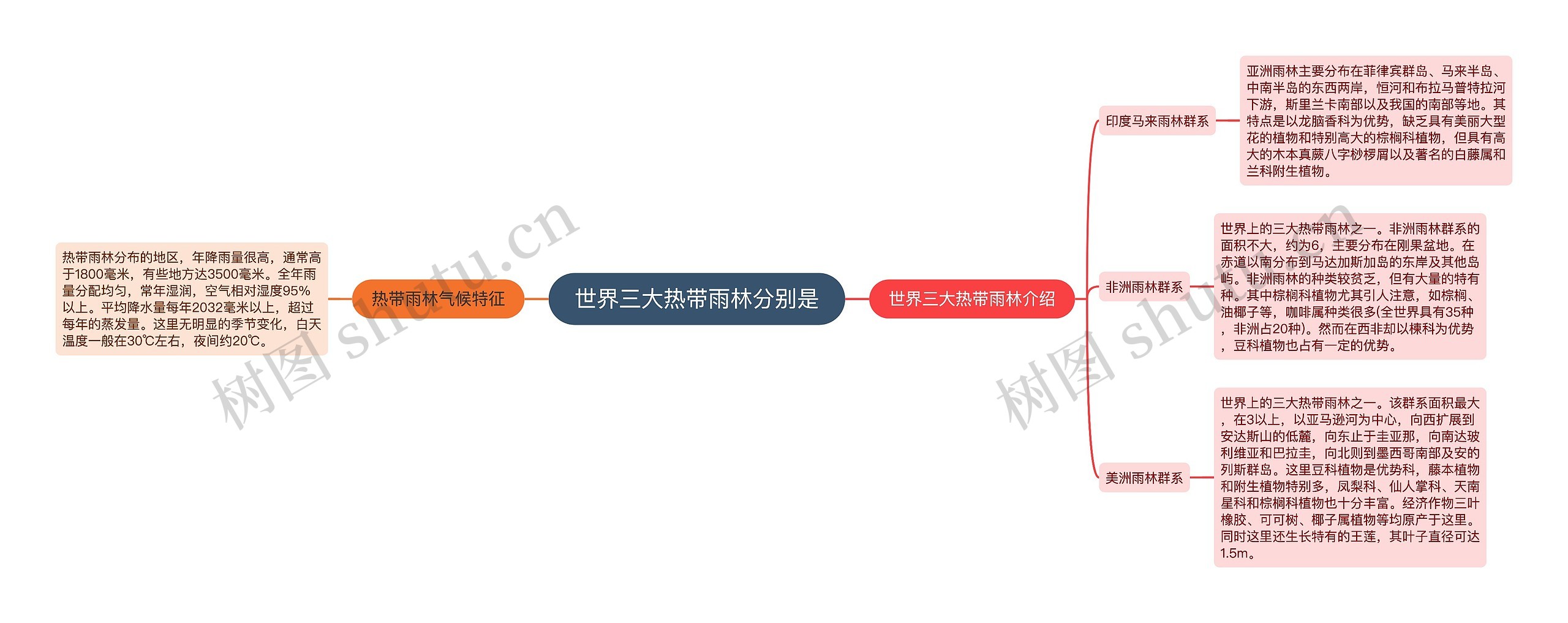 世界三大热带雨林分别是思维导图