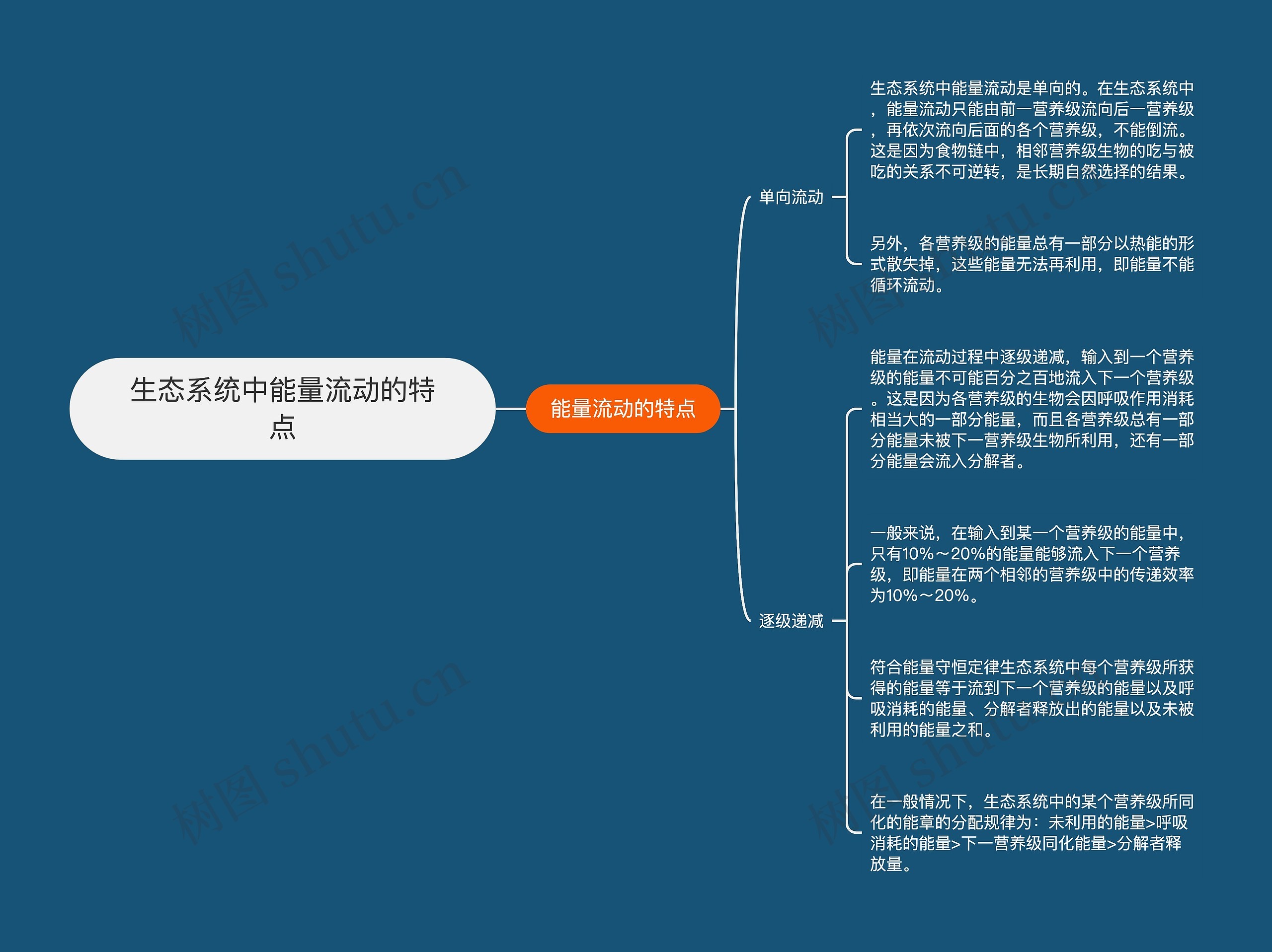 生态系统中能量流动的特点