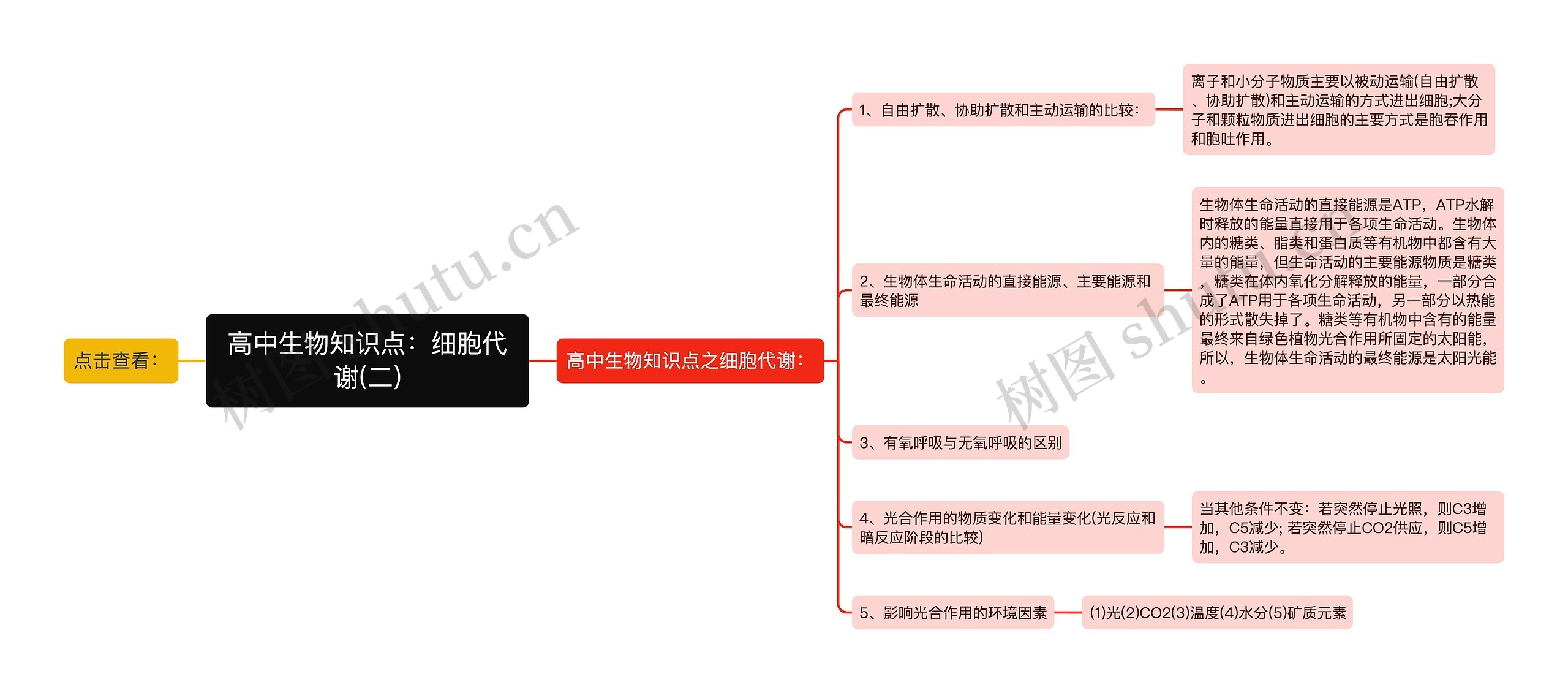 高中生物知识点：细胞代谢(二)