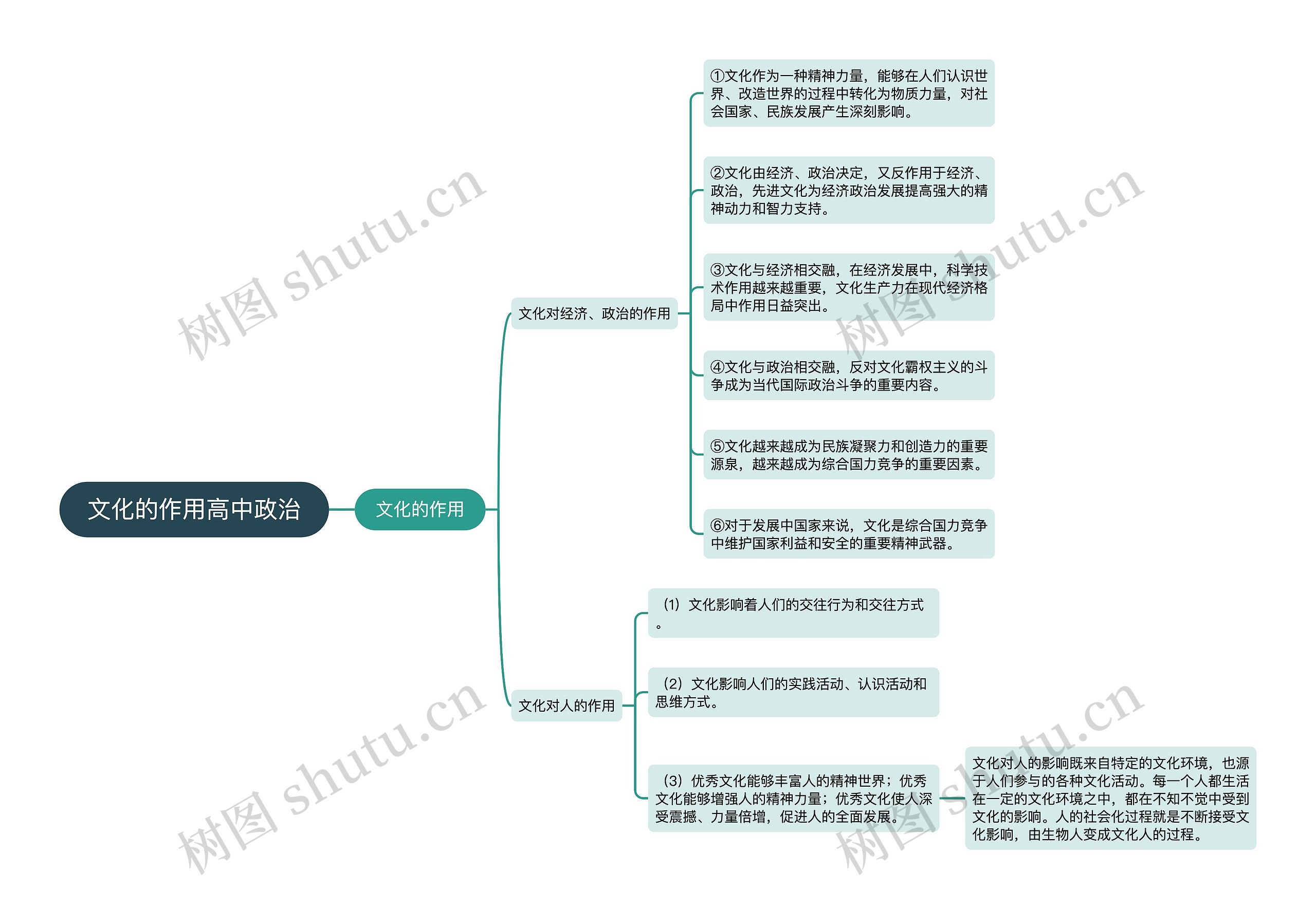 文化的作用高中政治思维导图