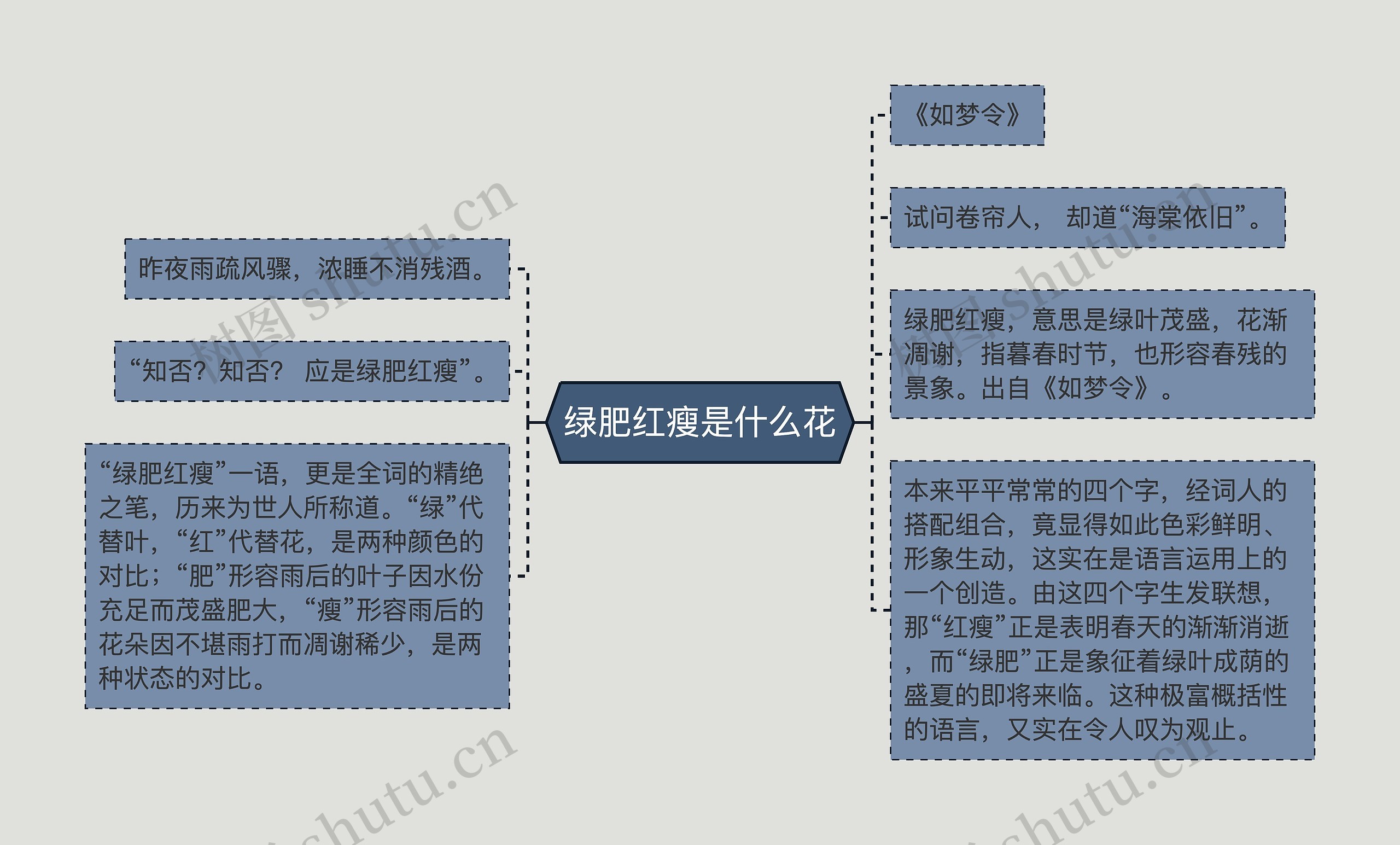 绿肥红瘦是什么花思维导图