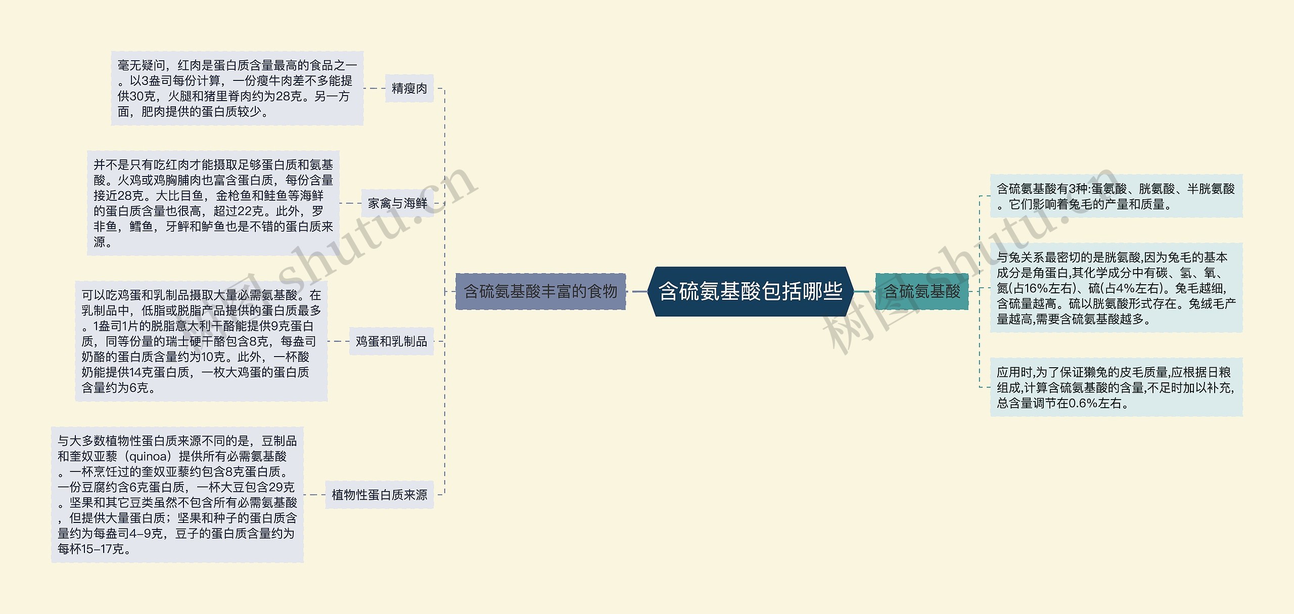 含硫氨基酸包括哪些思维导图