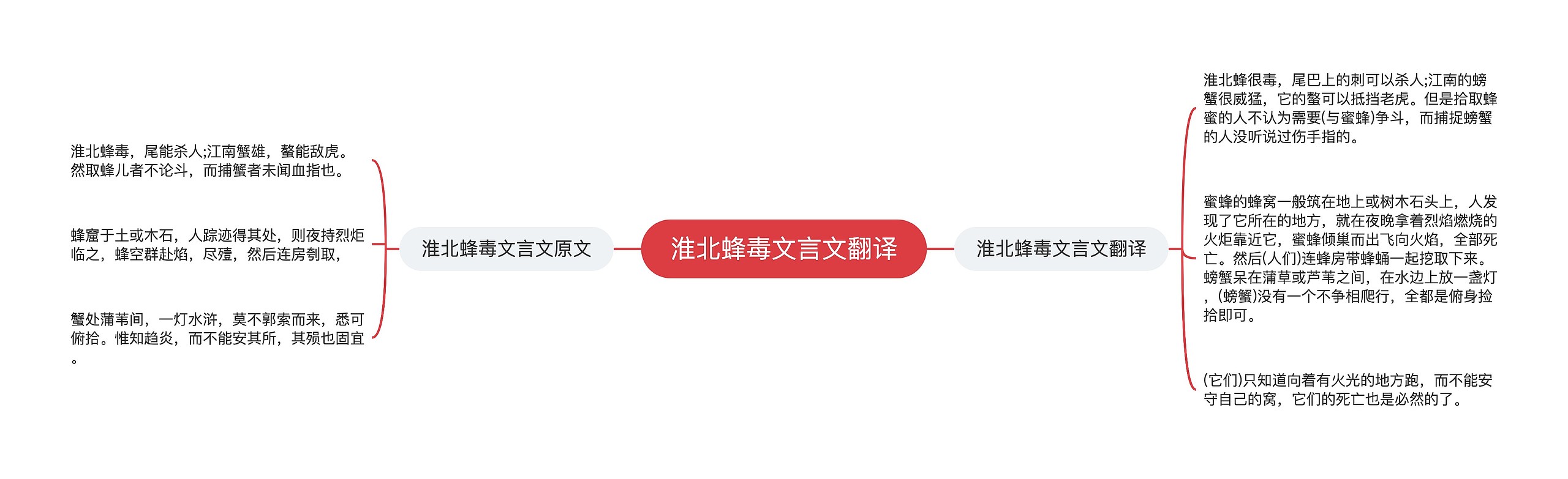 淮北蜂毒文言文翻译思维导图