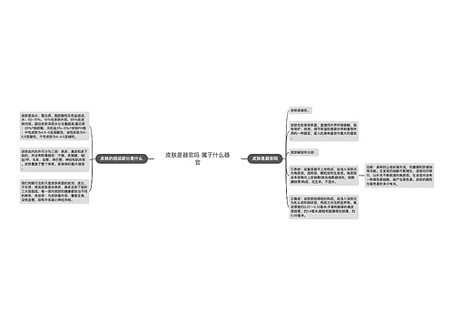 皮肤是器官吗 属于什么器官