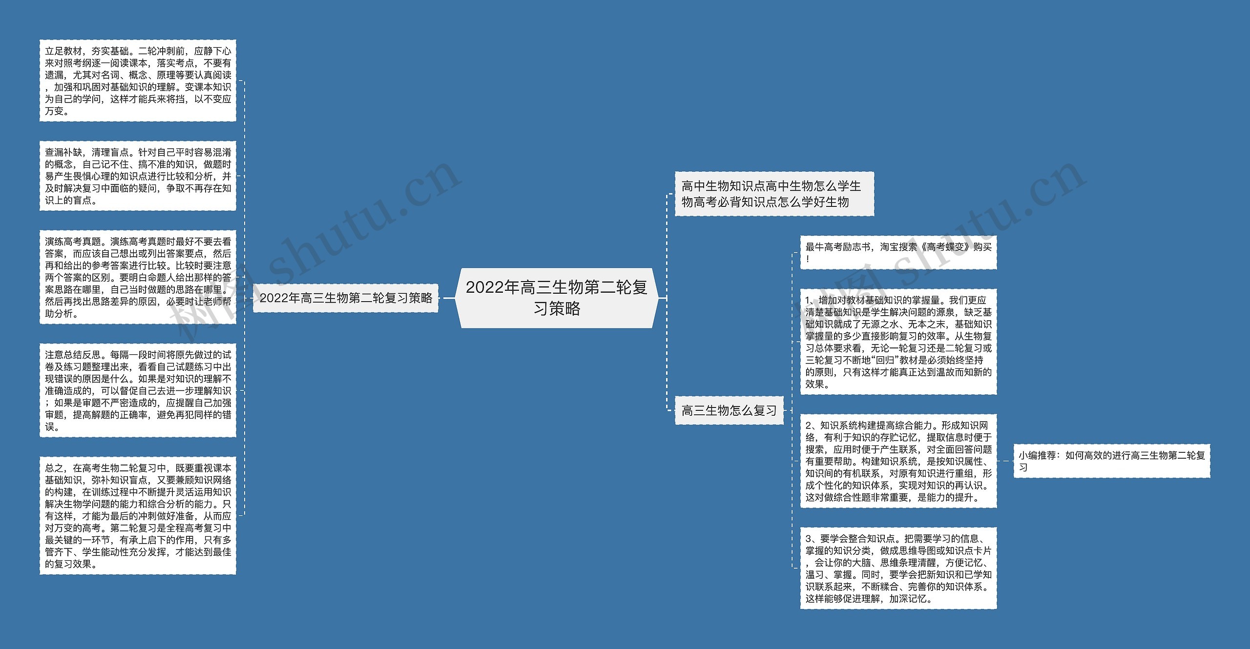 2022年高三生物第二轮复习策略思维导图