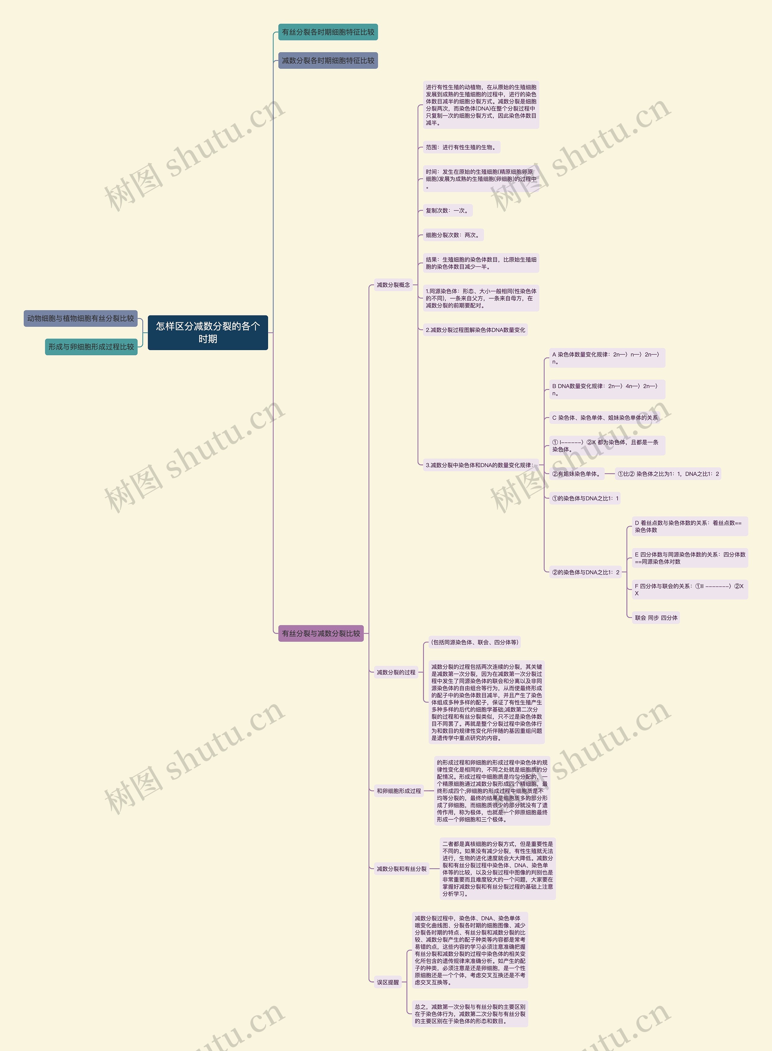 怎样区分减数分裂的各个时期 怎样区分减数分裂的各个时期
