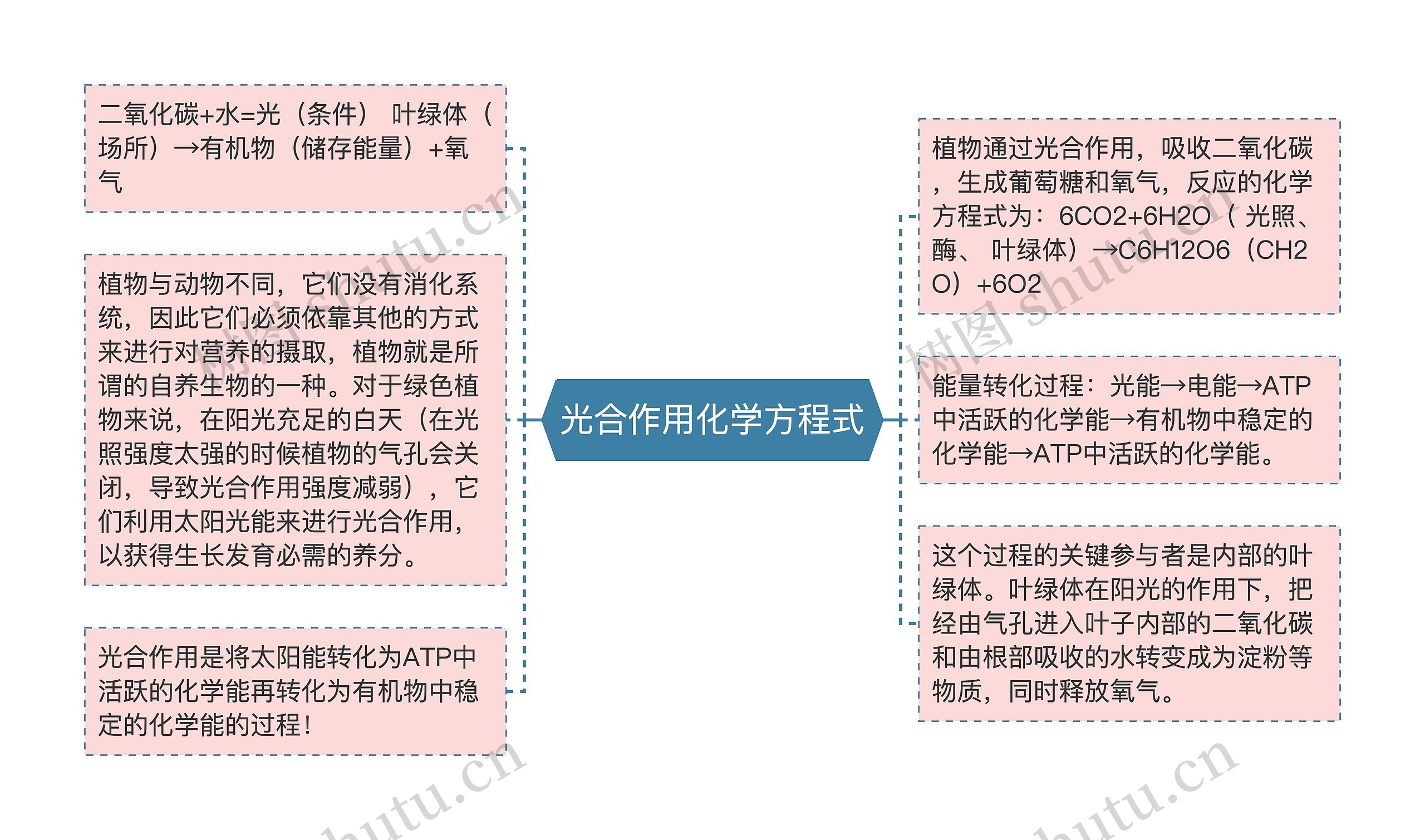 光合作用化学方程式