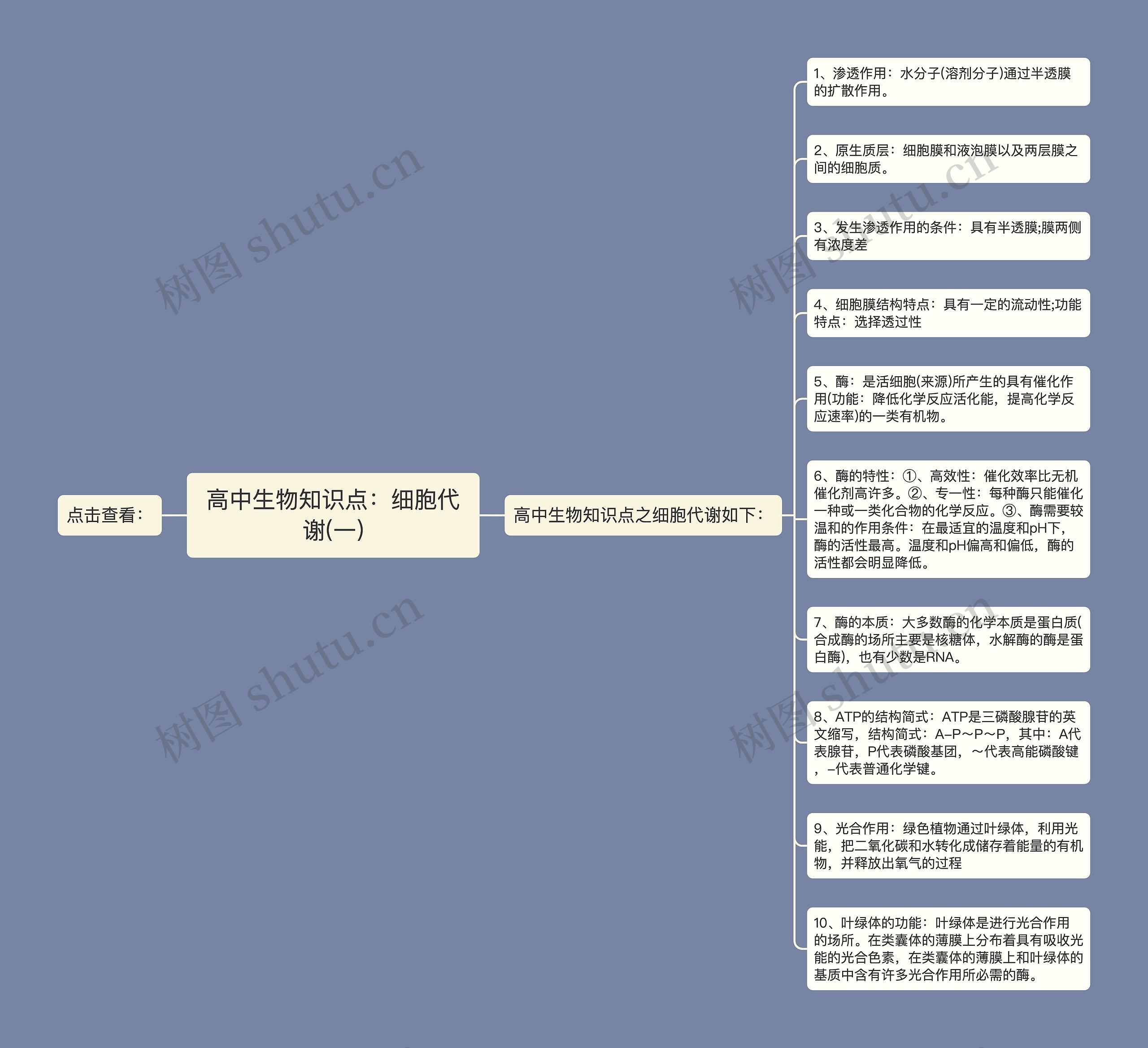 高中生物知识点：细胞代谢(一)