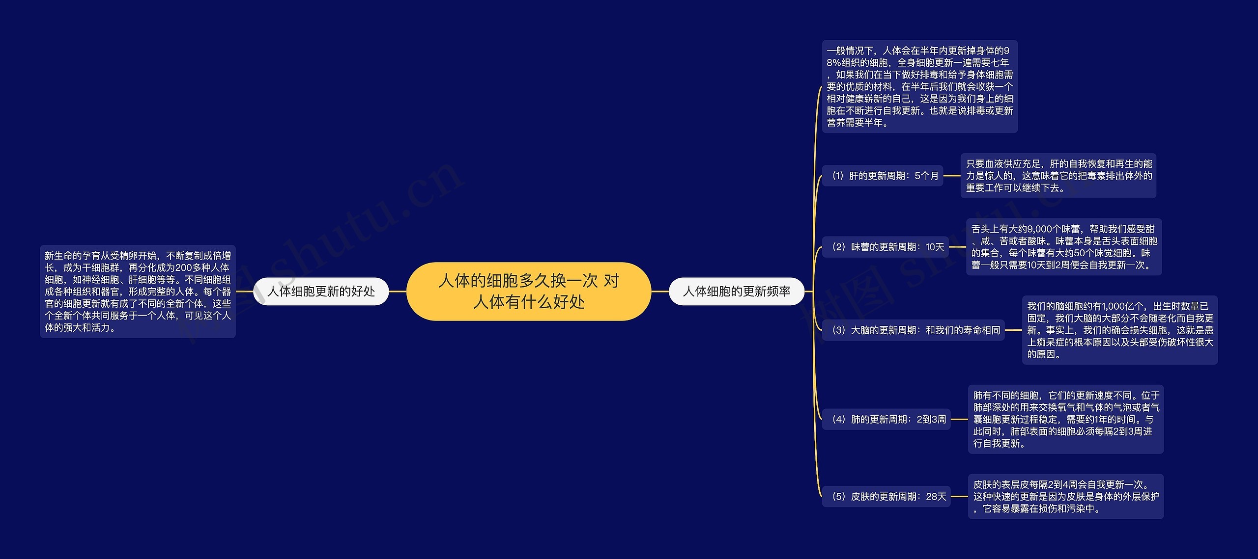 人体的细胞多久换一次 对人体有什么好处