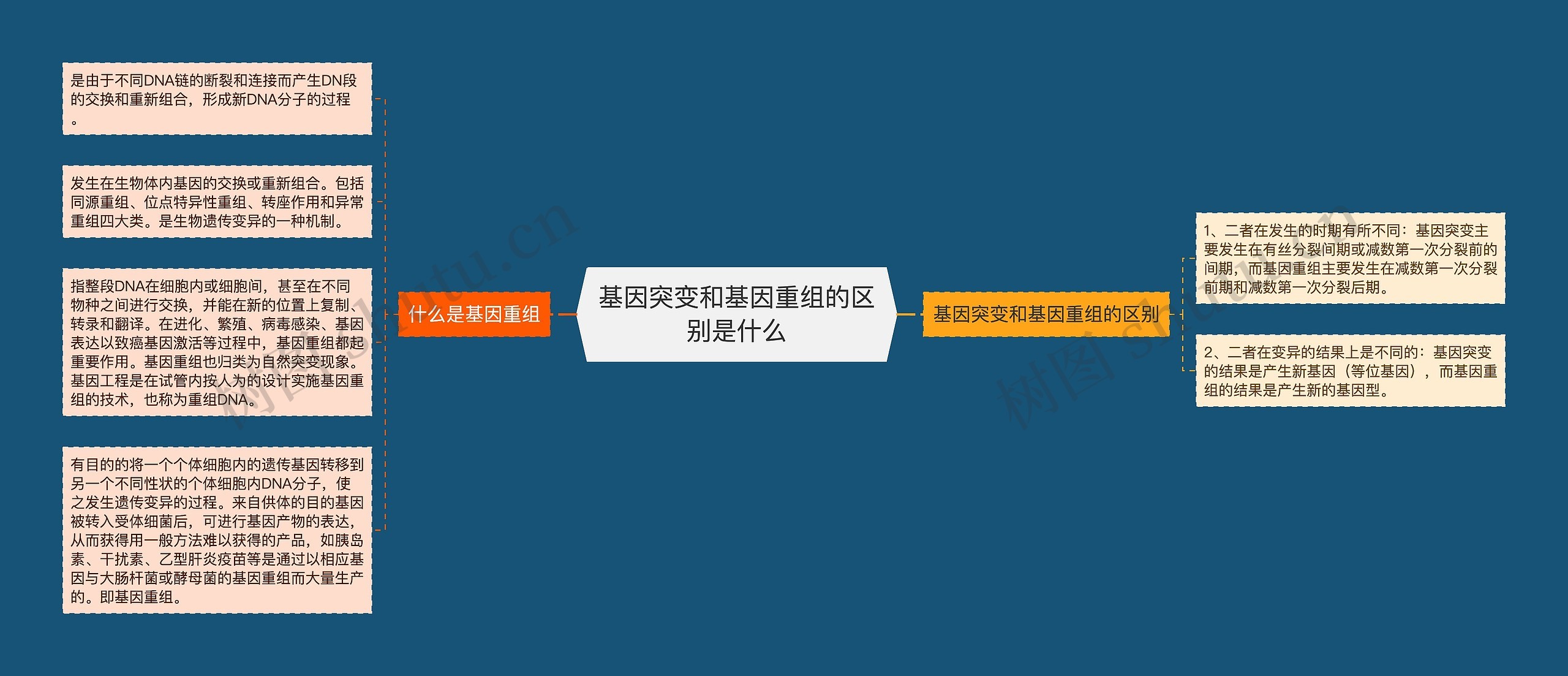 基因突变和基因重组的区别是什么思维导图