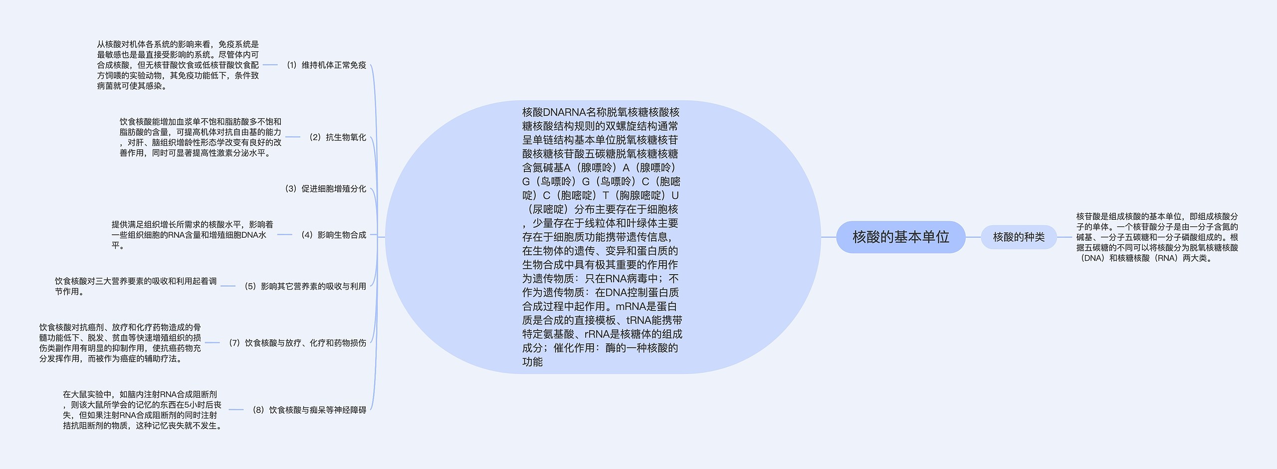 核酸的基本单位