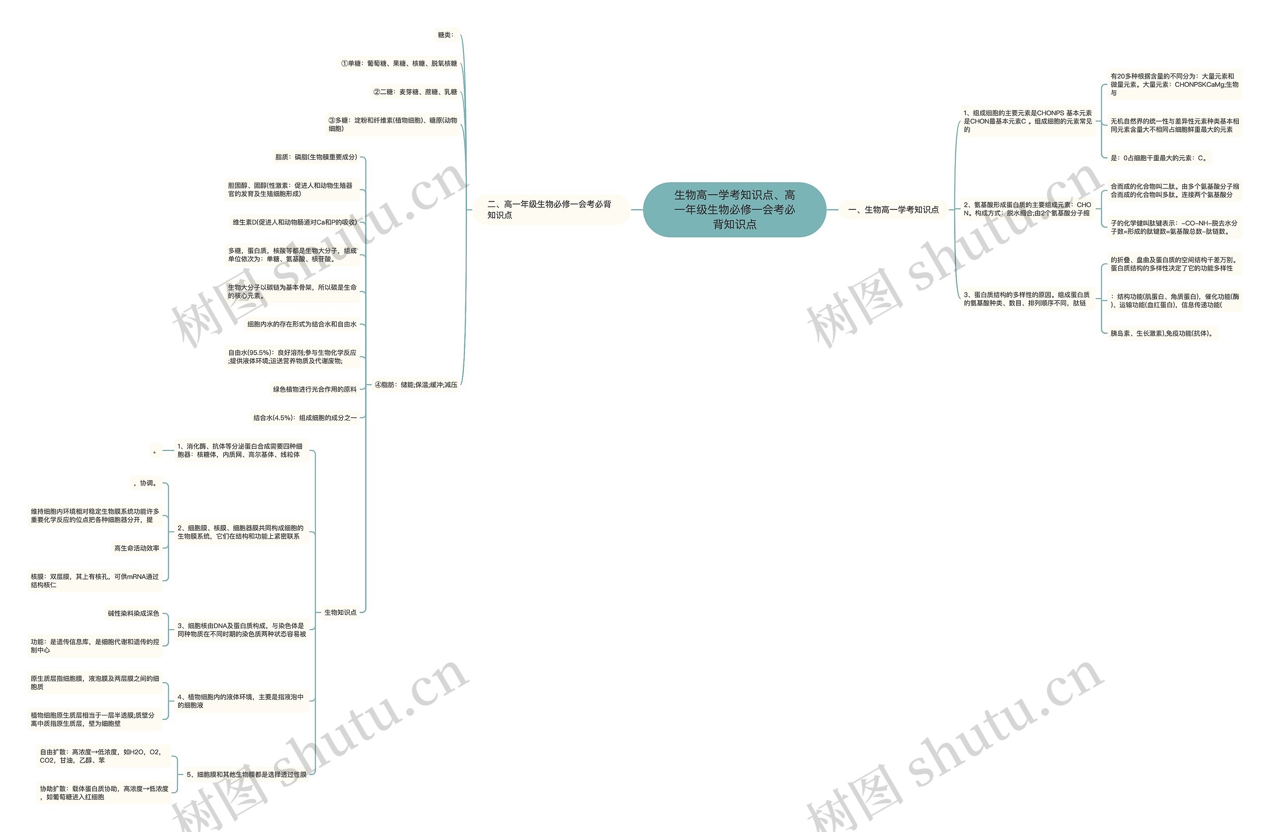 生物高一学考知识点、高一年级生物必修一会考必背知识点思维导图