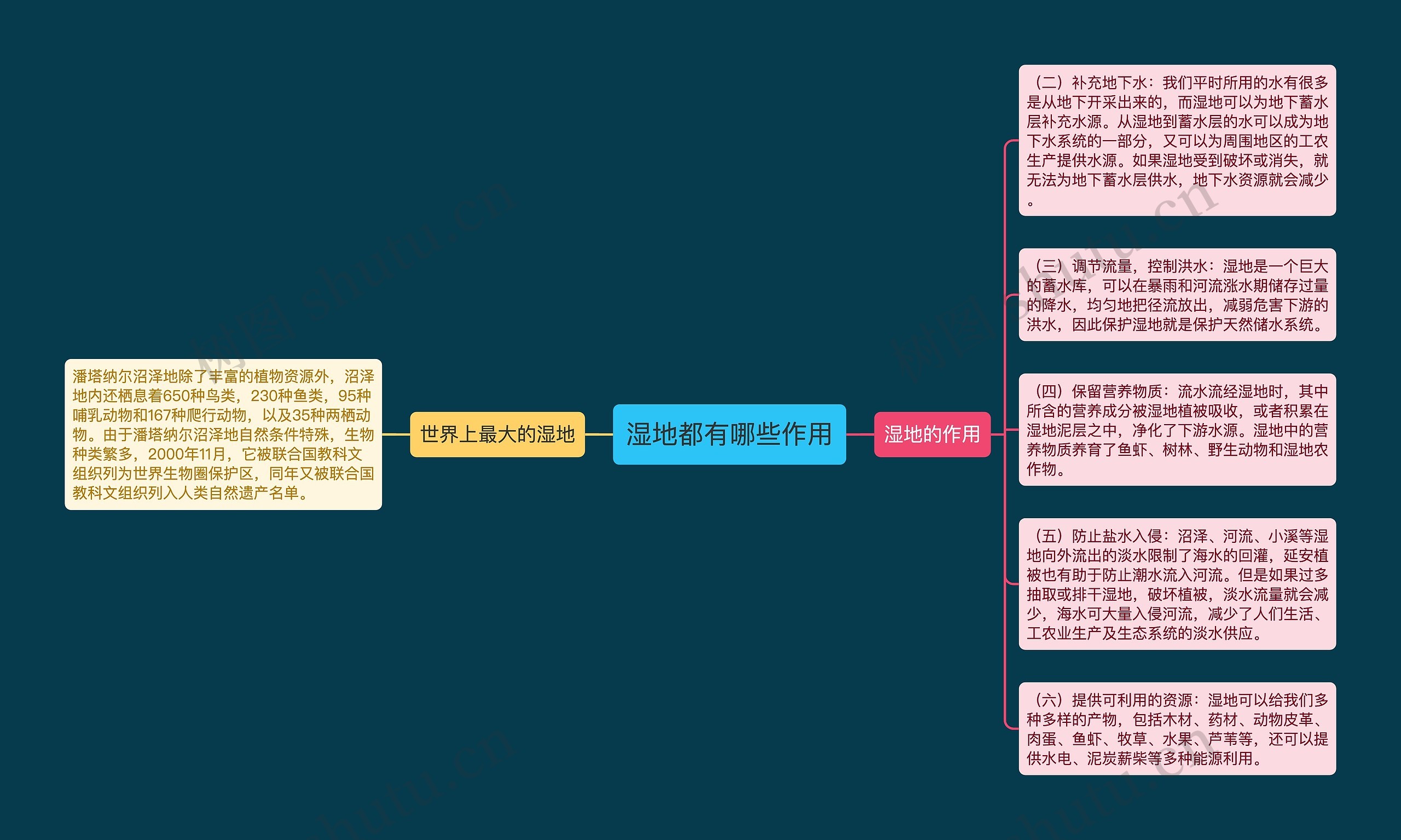 湿地都有哪些作用思维导图