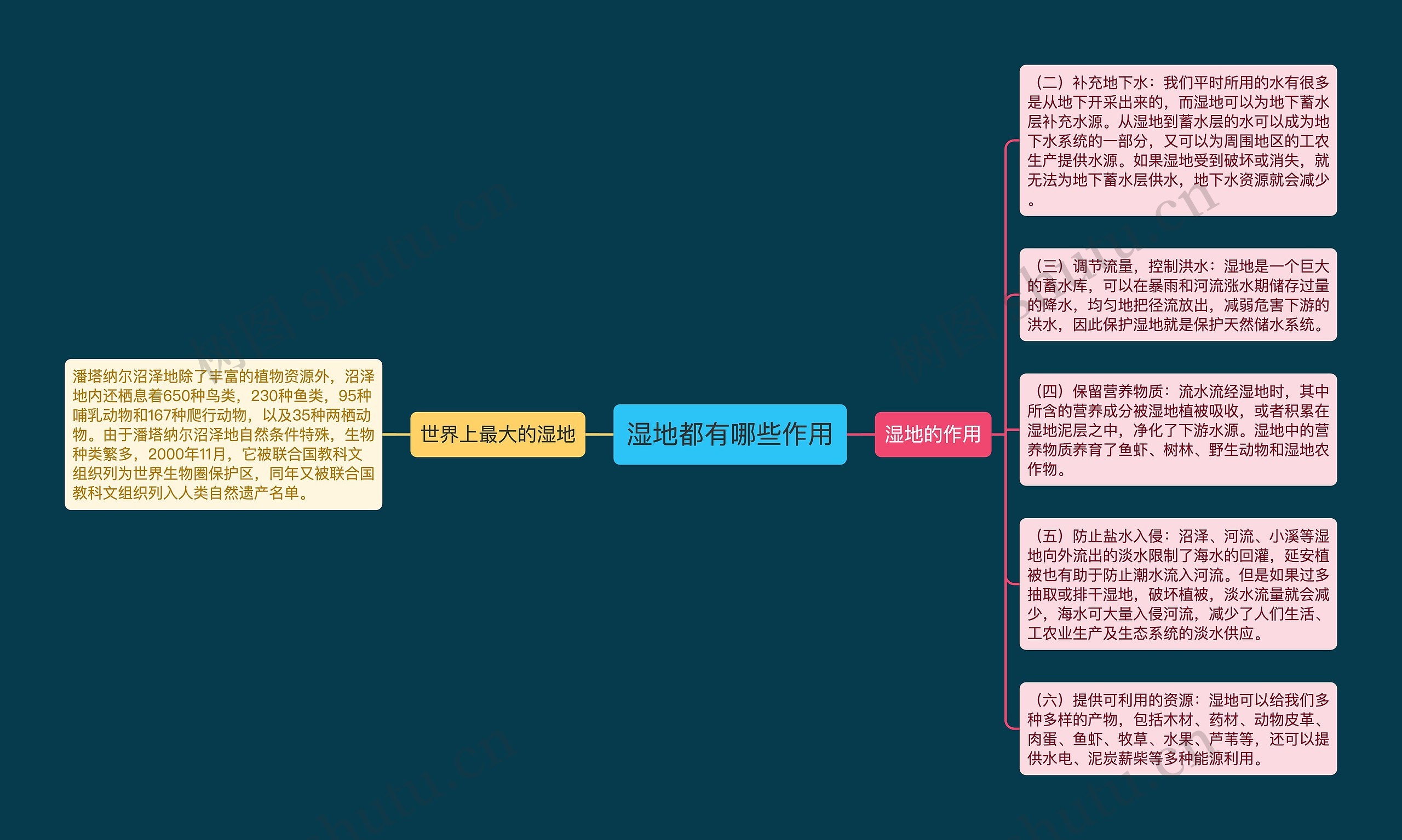 湿地都有哪些作用 湿地都有哪些作用
