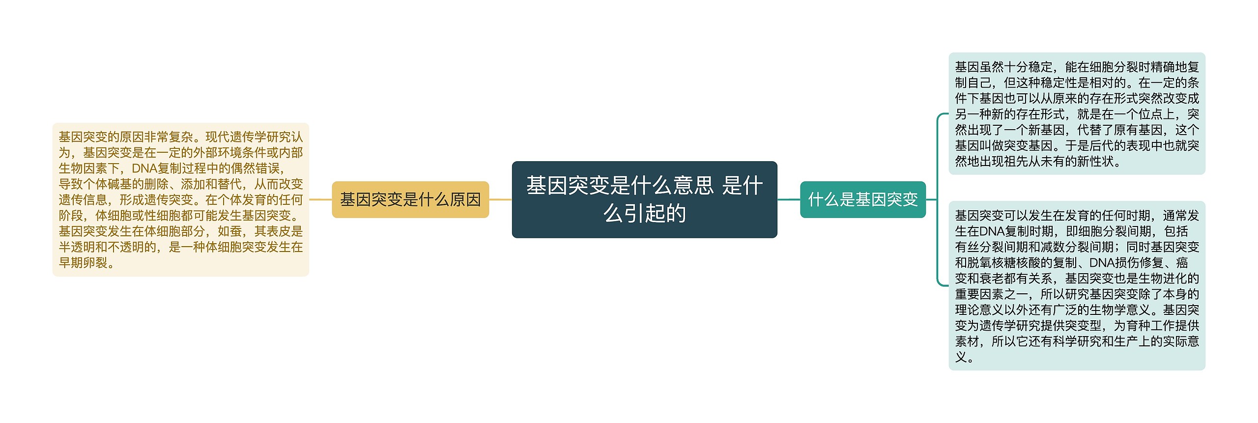 基因突变是什么意思 是什么引起的思维导图