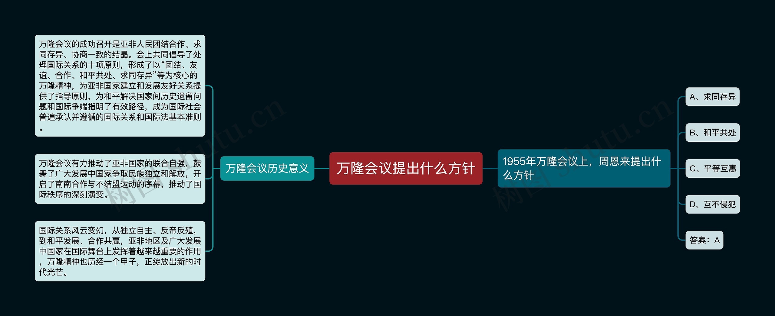 万隆会议提出什么方针