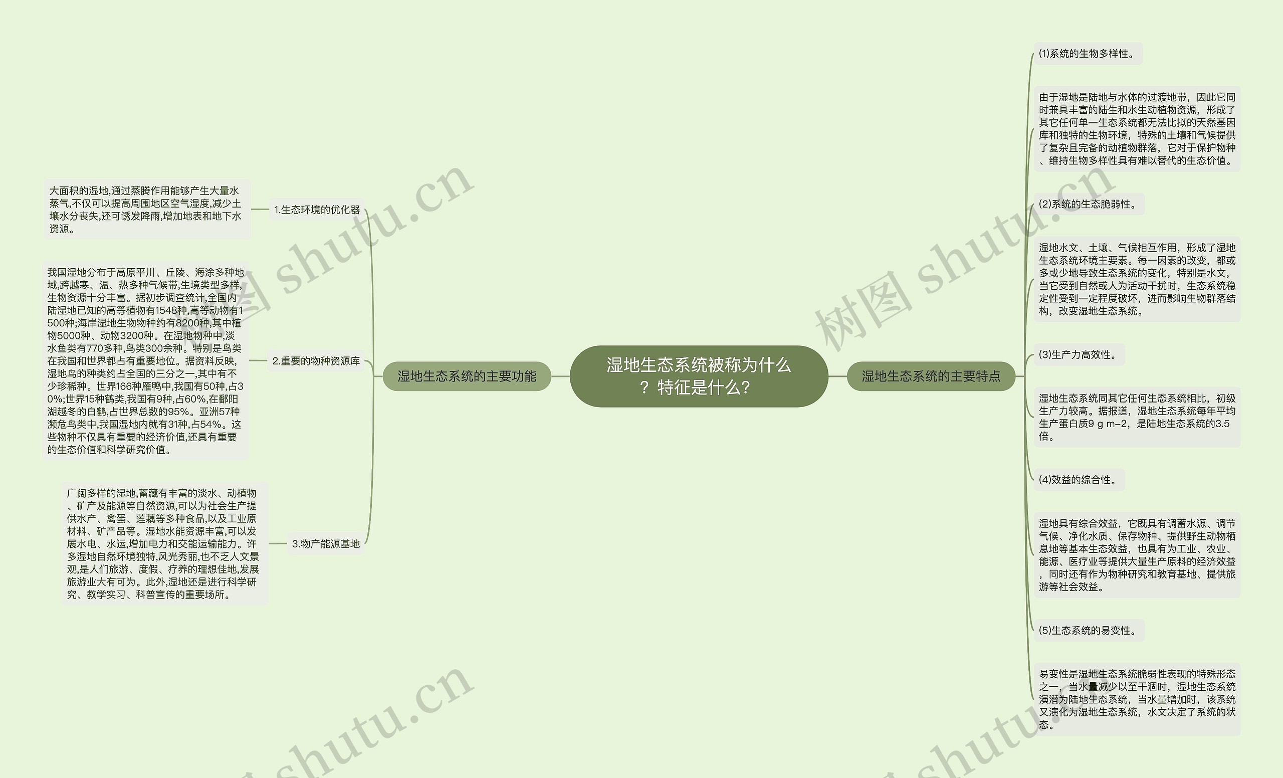 湿地生态系统被称为什么？特征是什么？