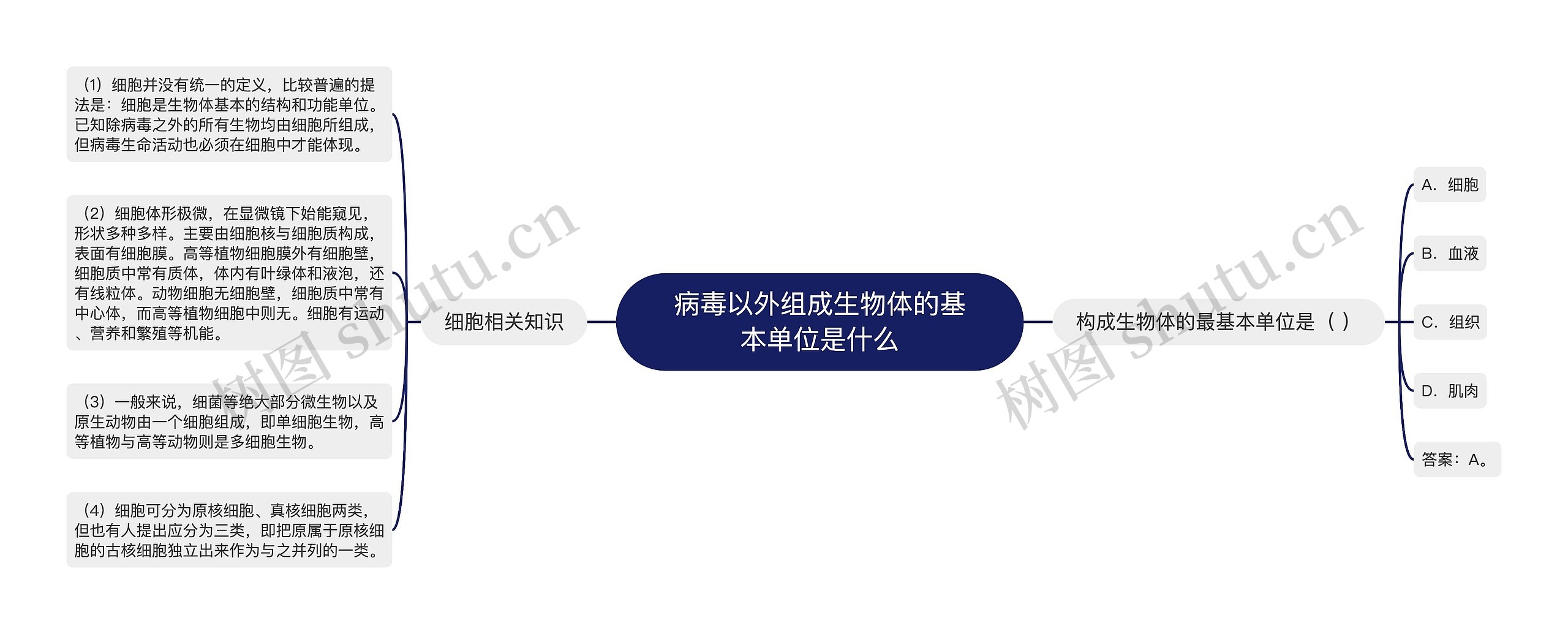 病毒以外组成生物体的基本单位是什么 病毒以外组成生物体的基本单位是什么