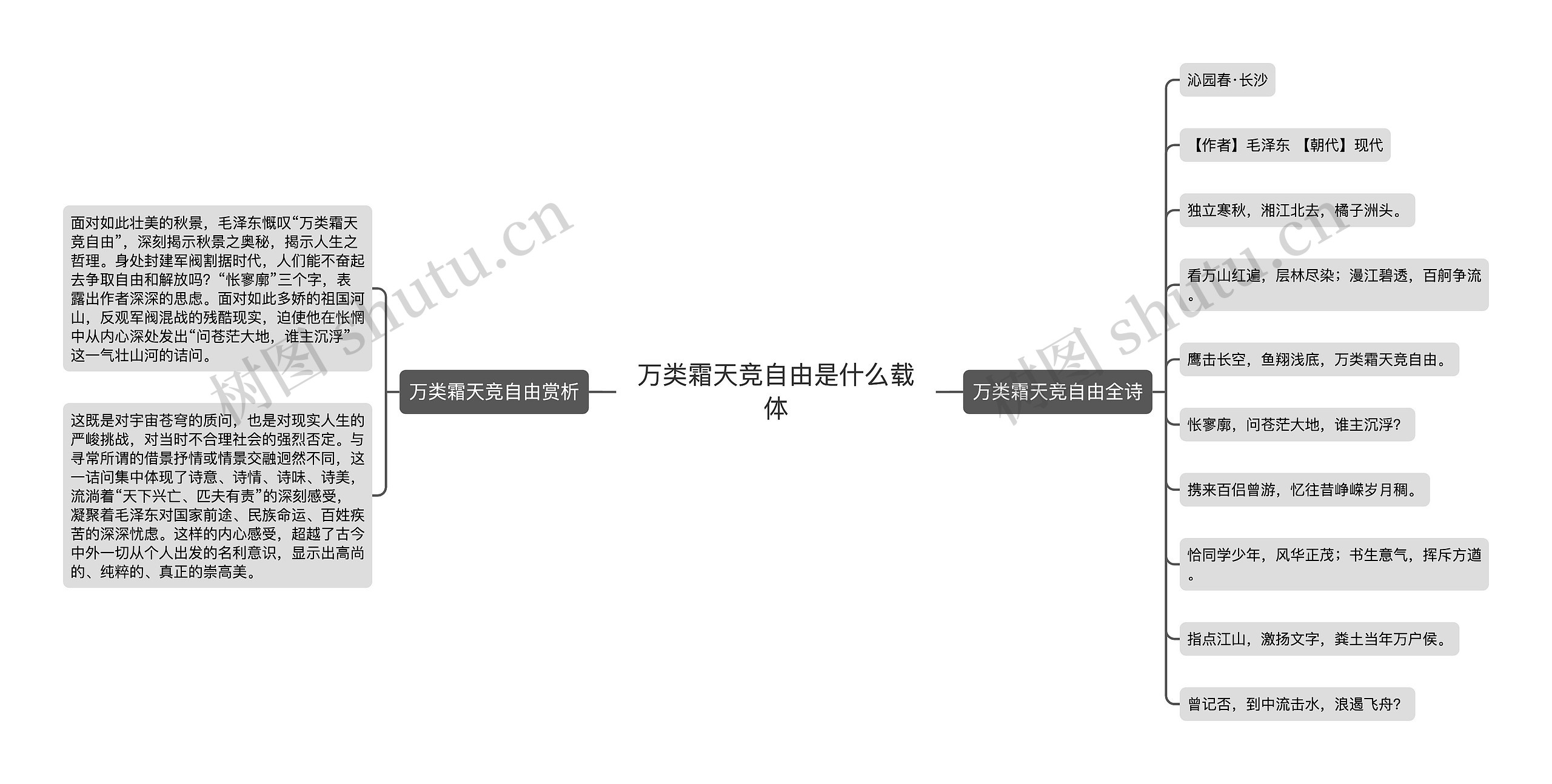 万类霜天竞自由是什么载体思维导图