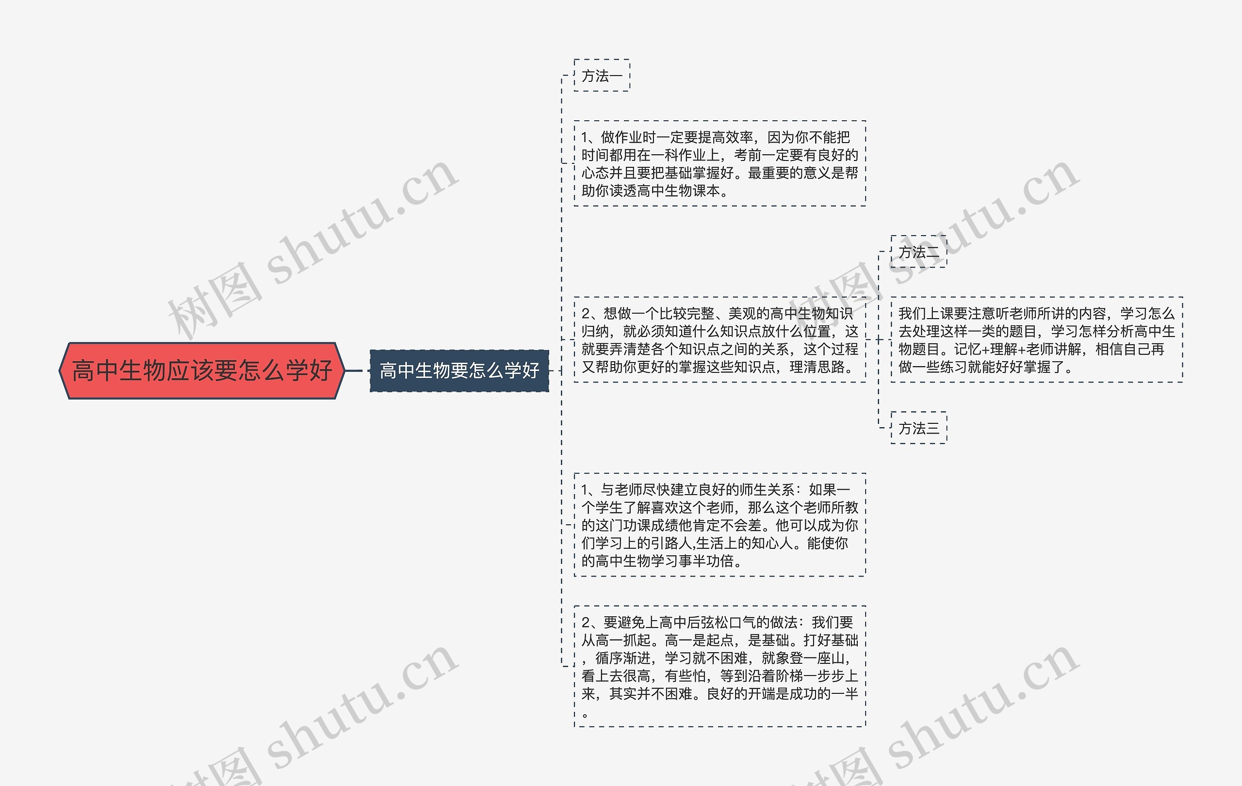 高中生物应该要怎么学好